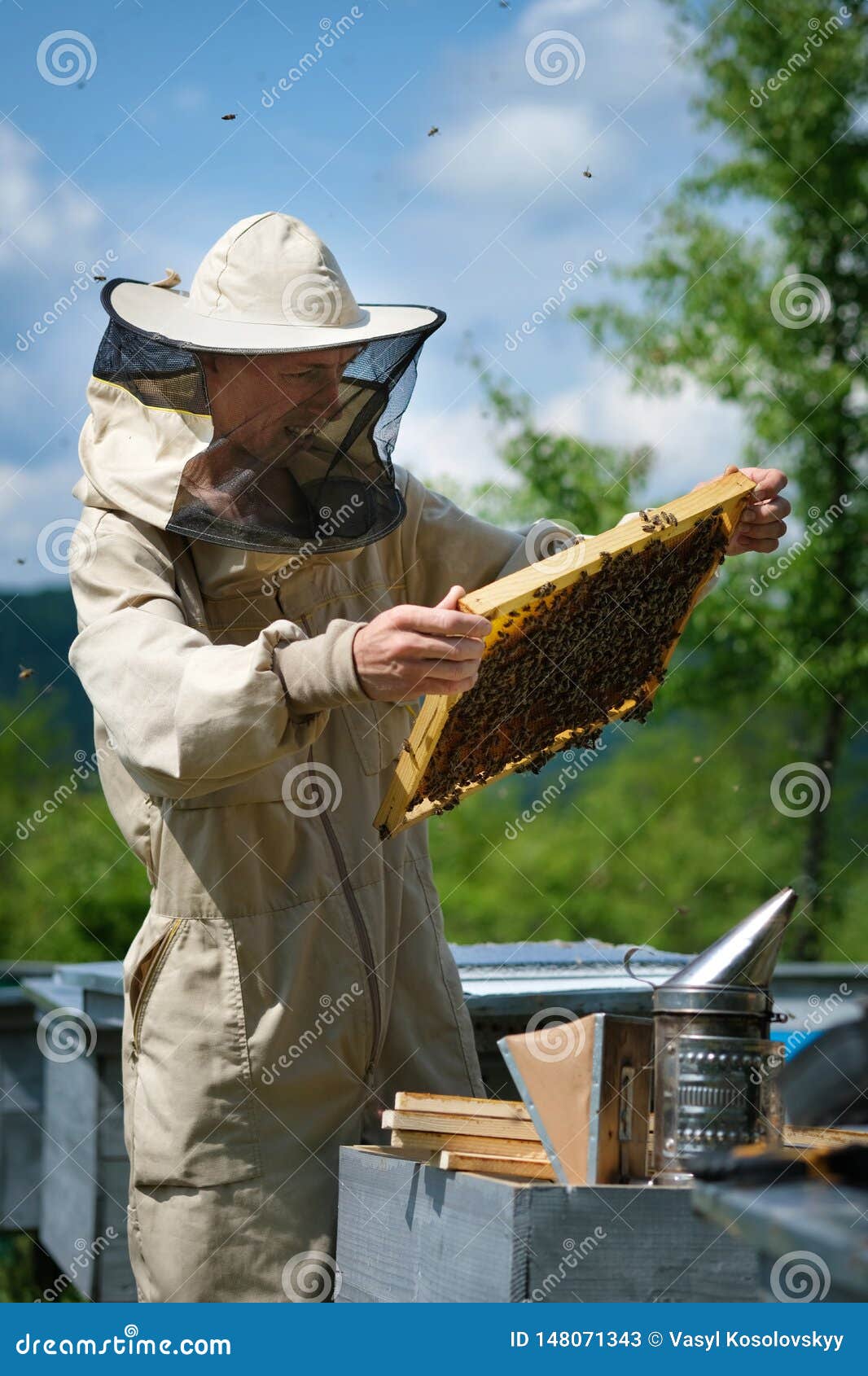 Образ пчеловода. День пчеловода. Рентабельность пасеки. 8 пчеловод. Пчелы и пчеловодство.