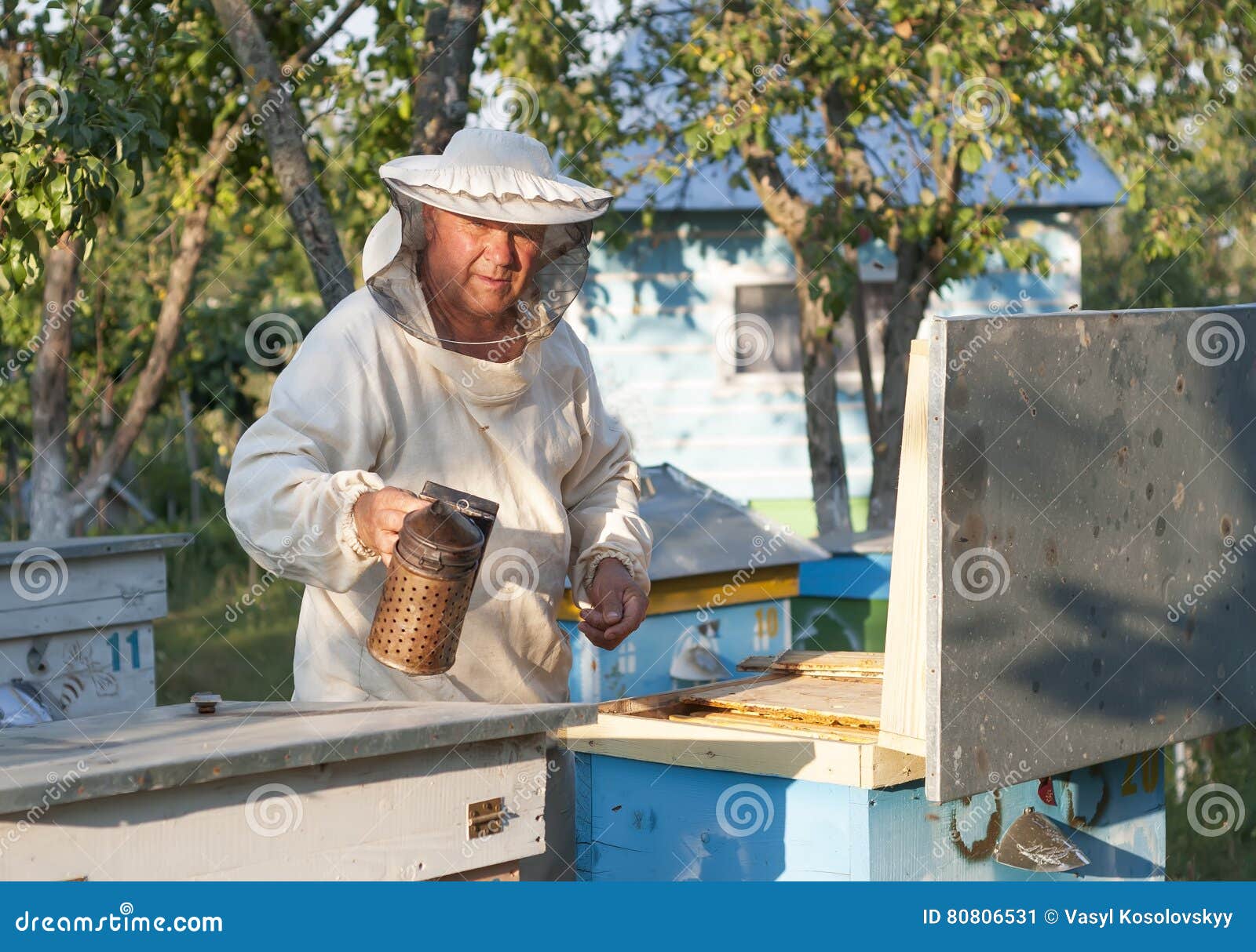 Bee Stung By A Bee Worker Skin Allergy , Allergic. Treatment By Honey