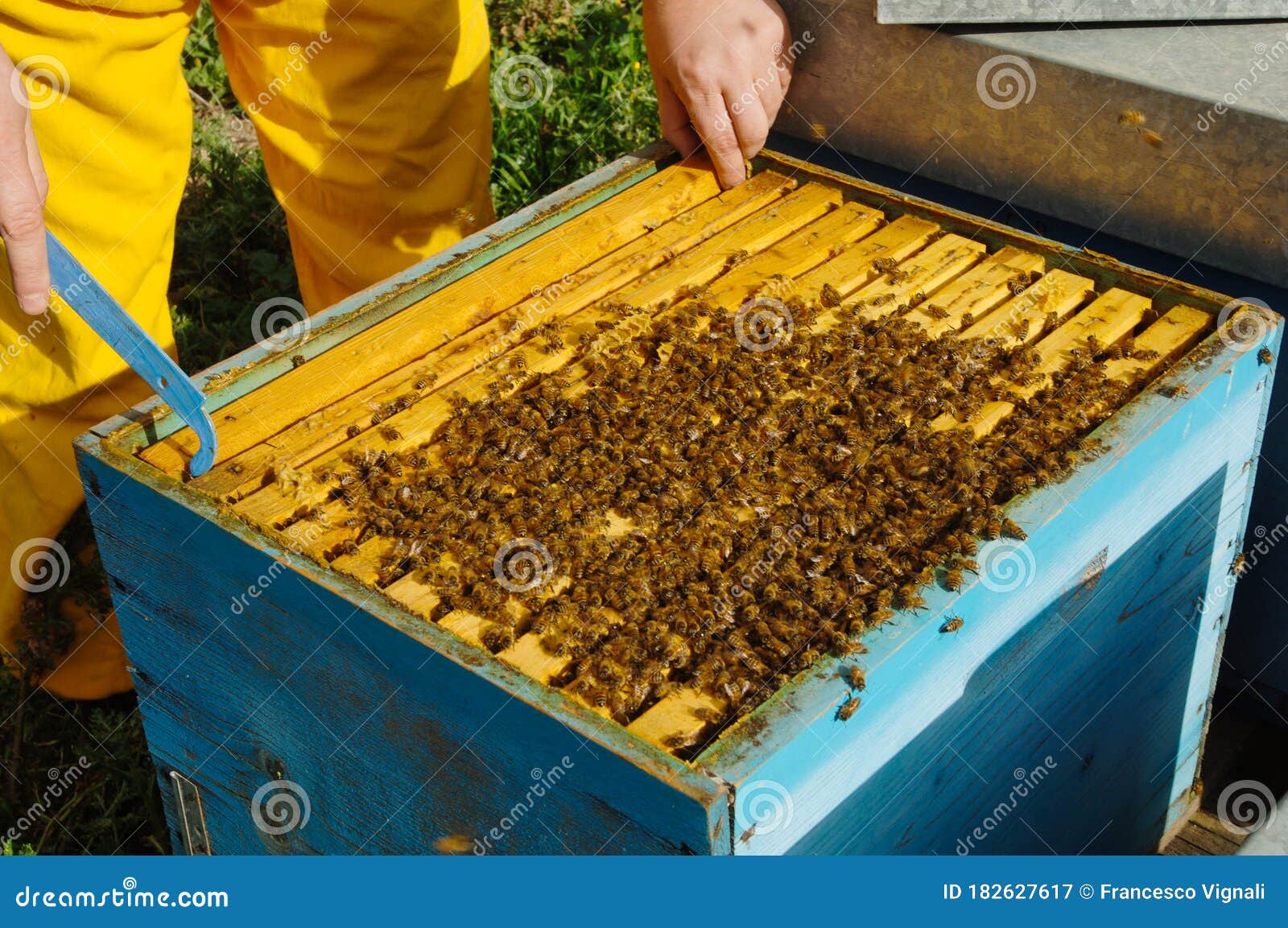 bumble active users bumble active users