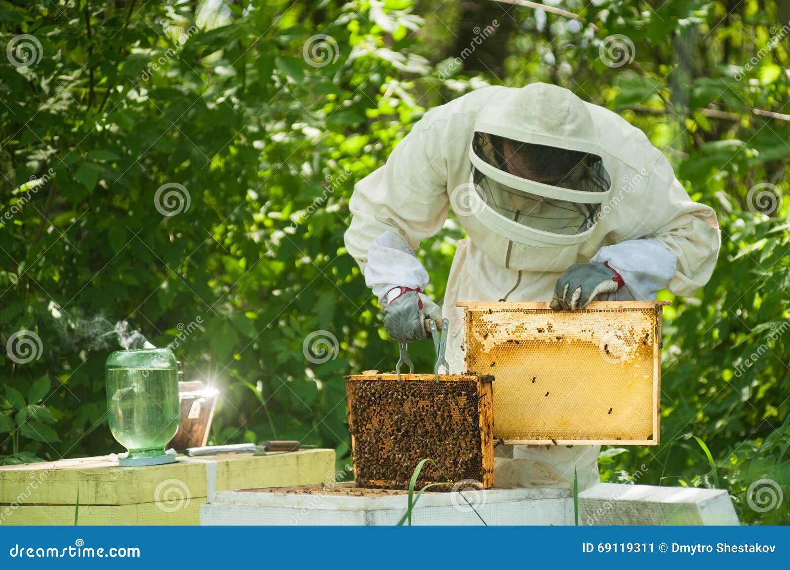 Beekeeper Holding a Full of Bees Stock Image Image of bees