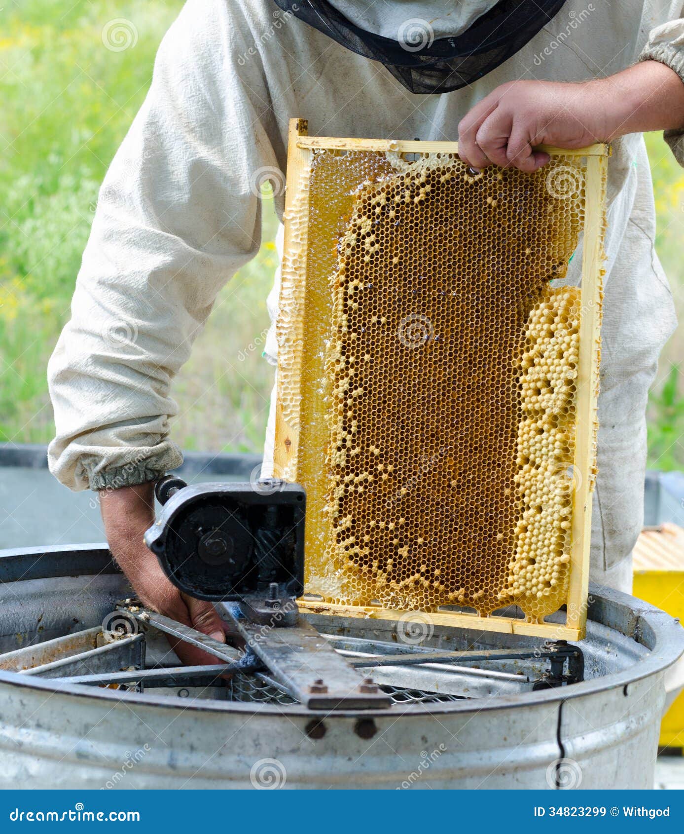 Beekeeper at work stock image. Image of place, fresh 34823299
