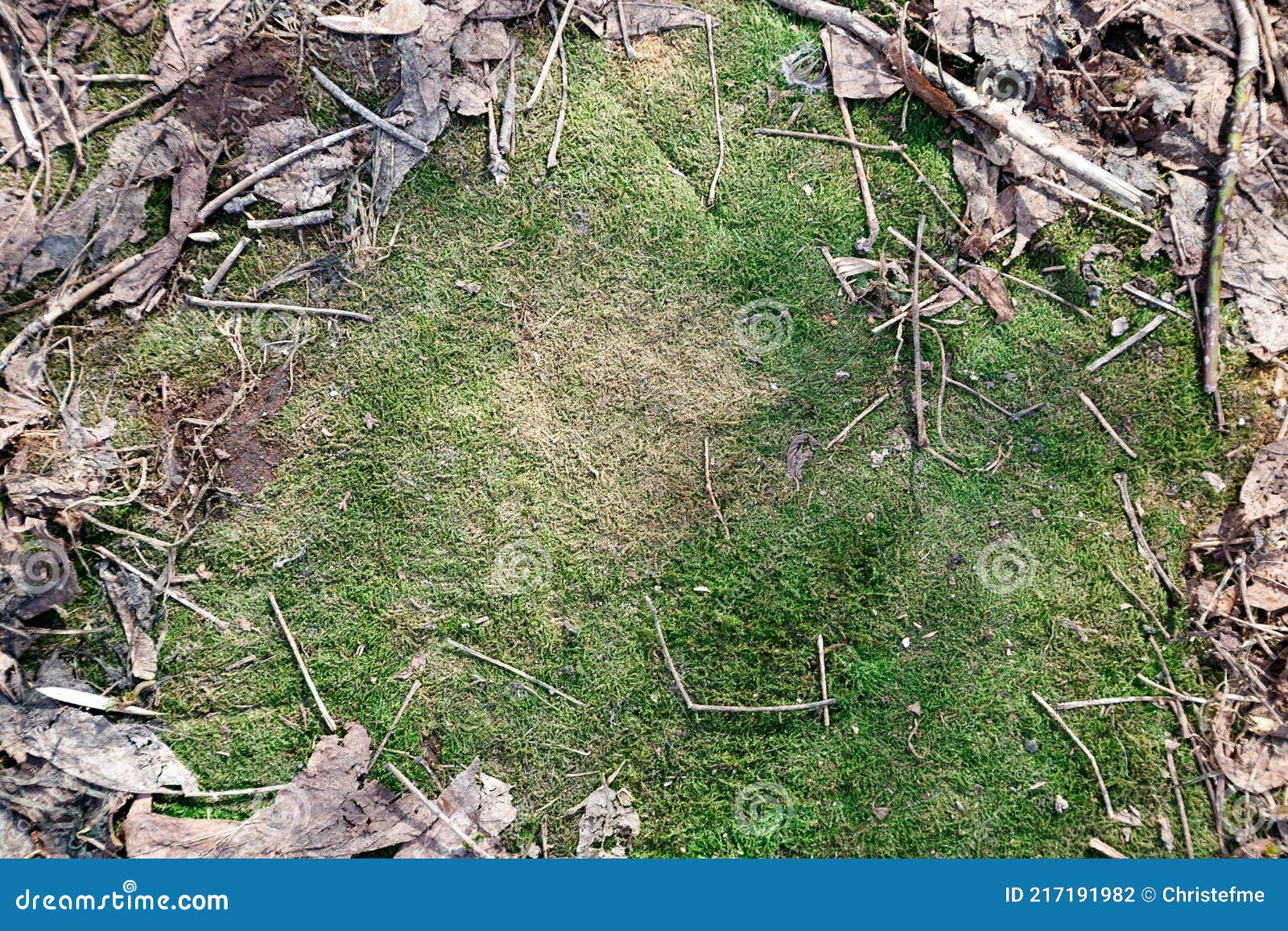 Beeld Van Groene Mos Op De Grond in Het Vroege Voorjaar Stock Foto ...