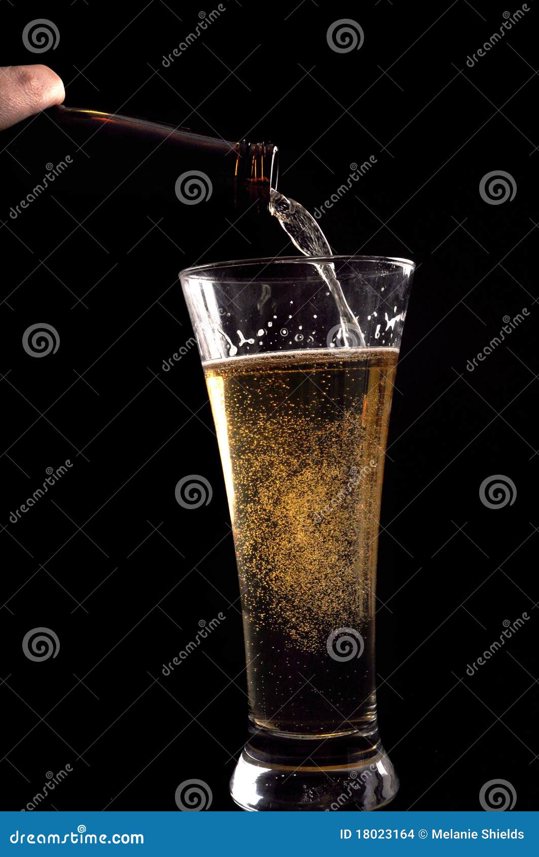 Beer with Beer Bottle Pouring Stock Photo Image of bottle, beverage