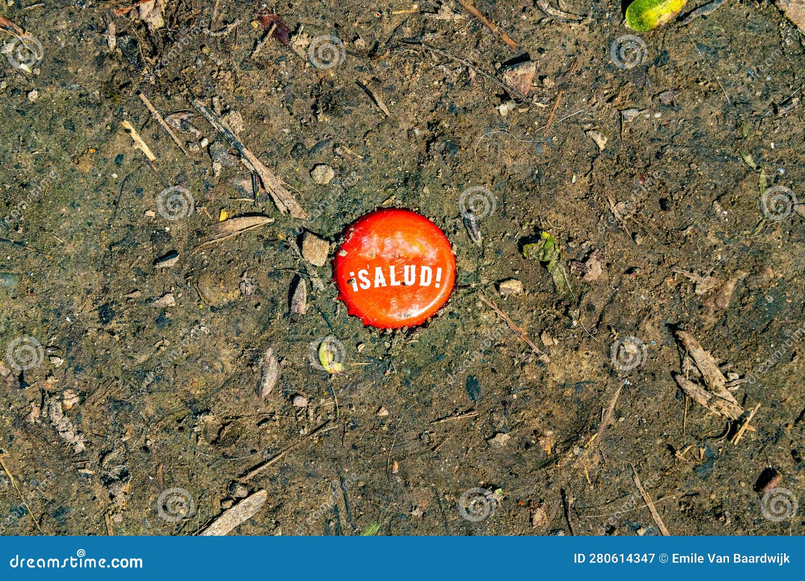beer bottle cap with the inscription salud half buried in the earthy soil