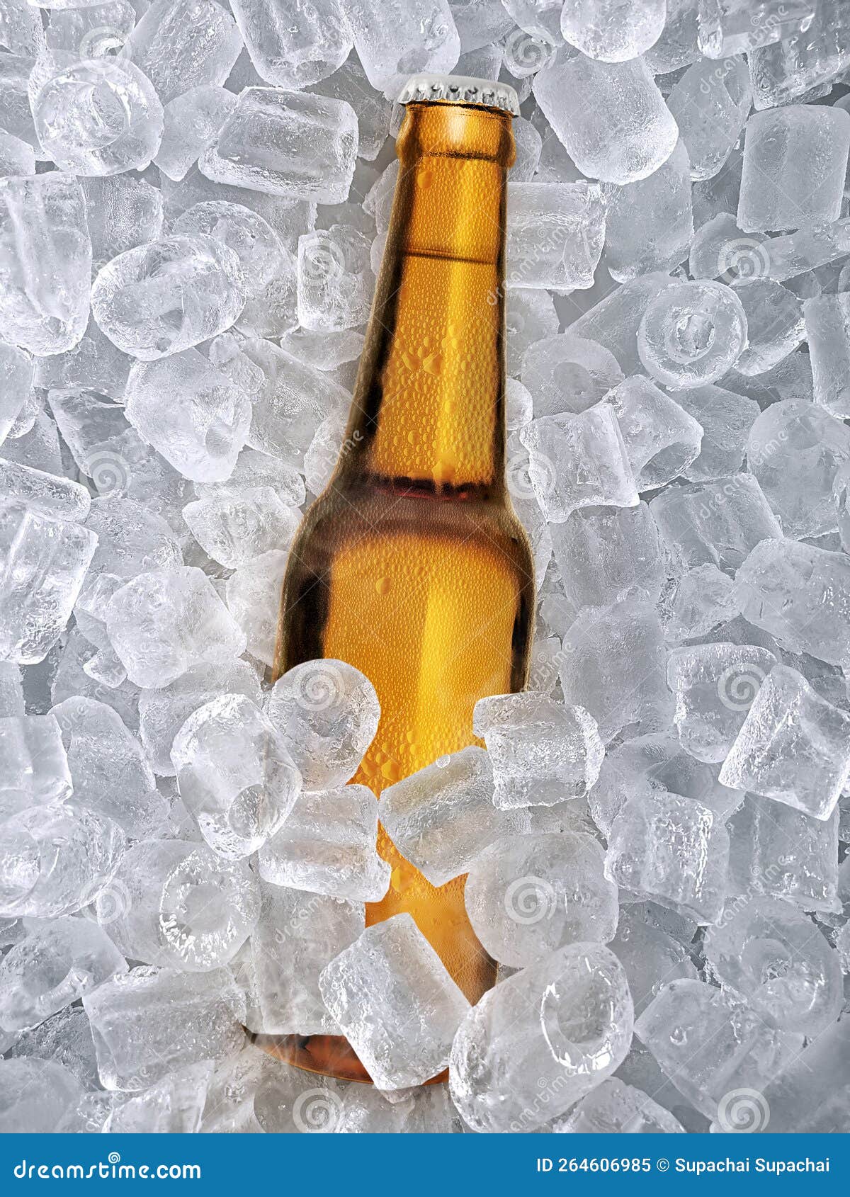 Beer Bottle, Ice Cubea of Juicy. Summer Refreshing Drink Stock Image