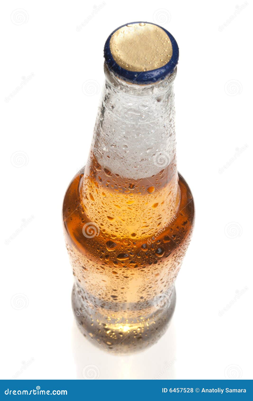 Beer Bottle, Shot from Top, Isolated Stock Photo Image of froth