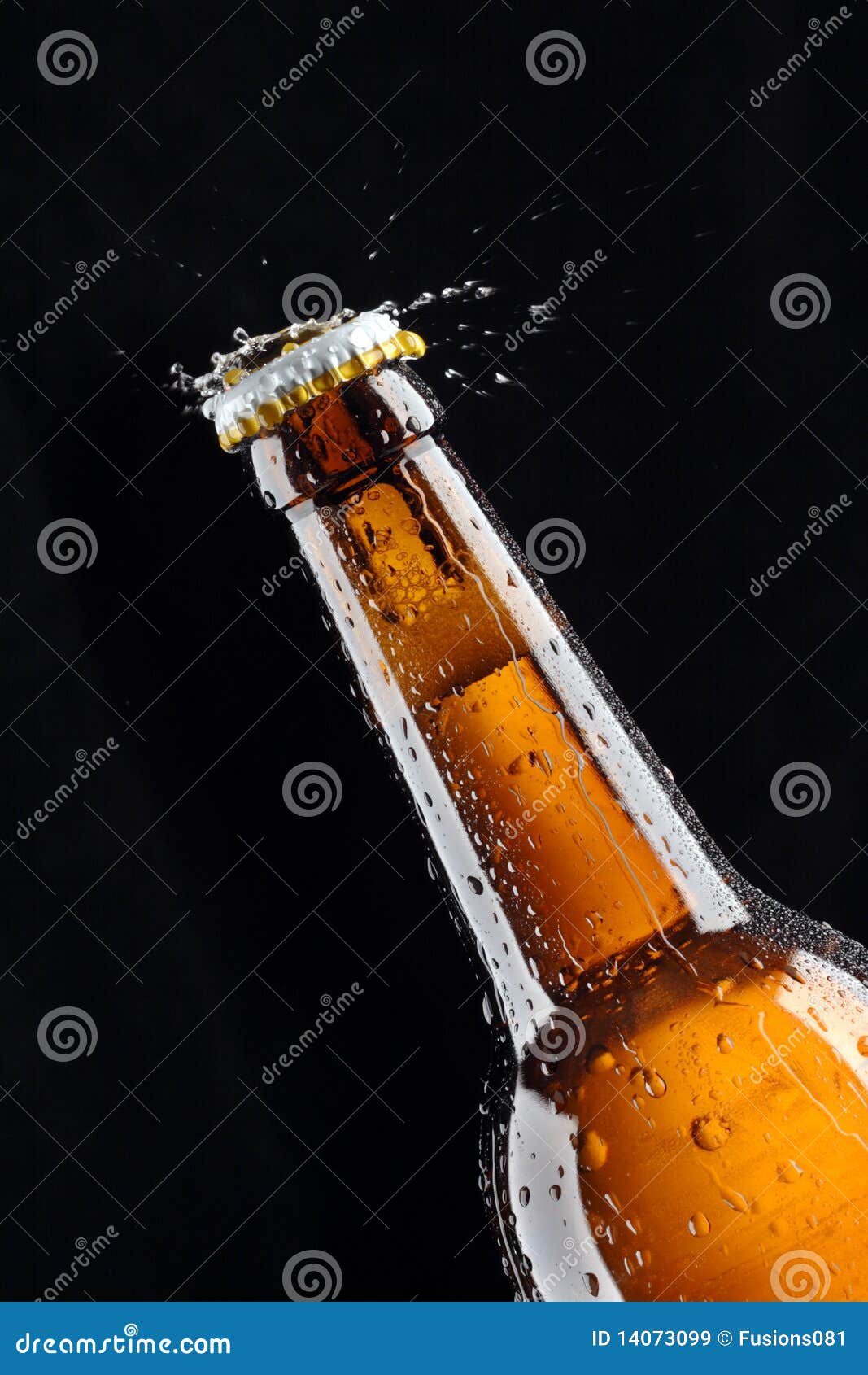 Beer Bottle water splash stock image. Image of drop, isolated 14073099