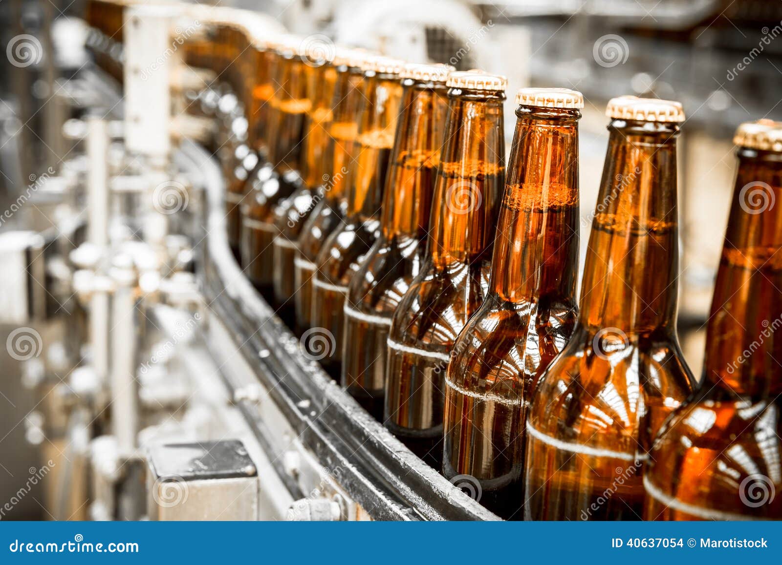 beer bottles on the conveyor belt