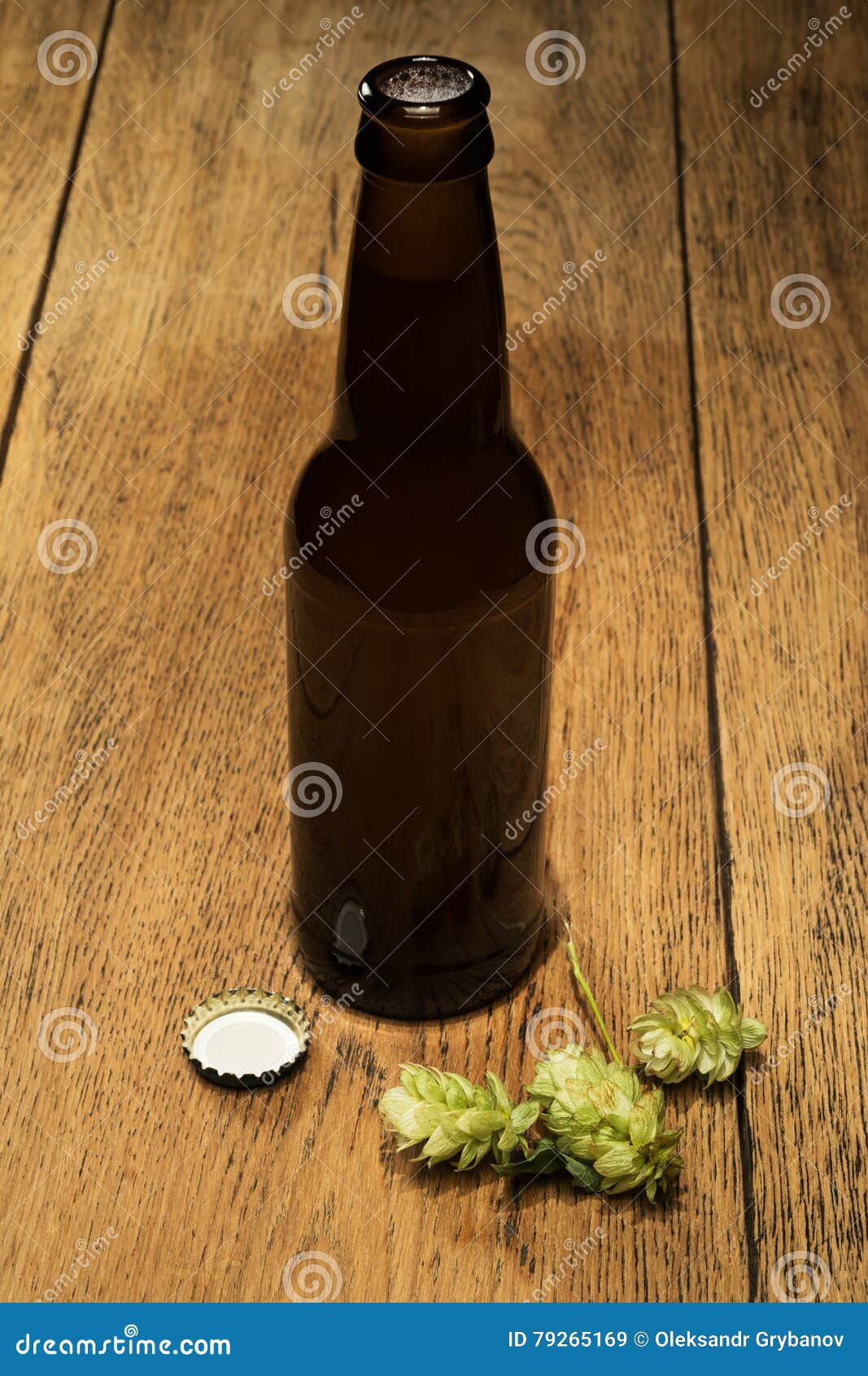 Beer Bottles with Fresh Hops Stock Image Image of brewing, bottle 79265169