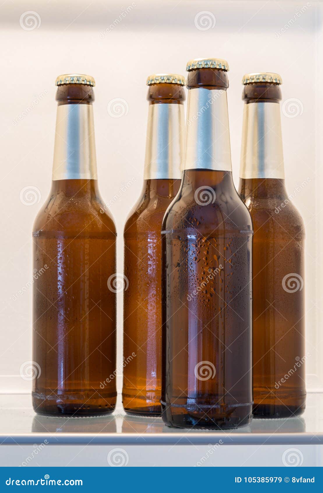 Beer in Bottles in Open Fridge Concept Stock Image Image of brew