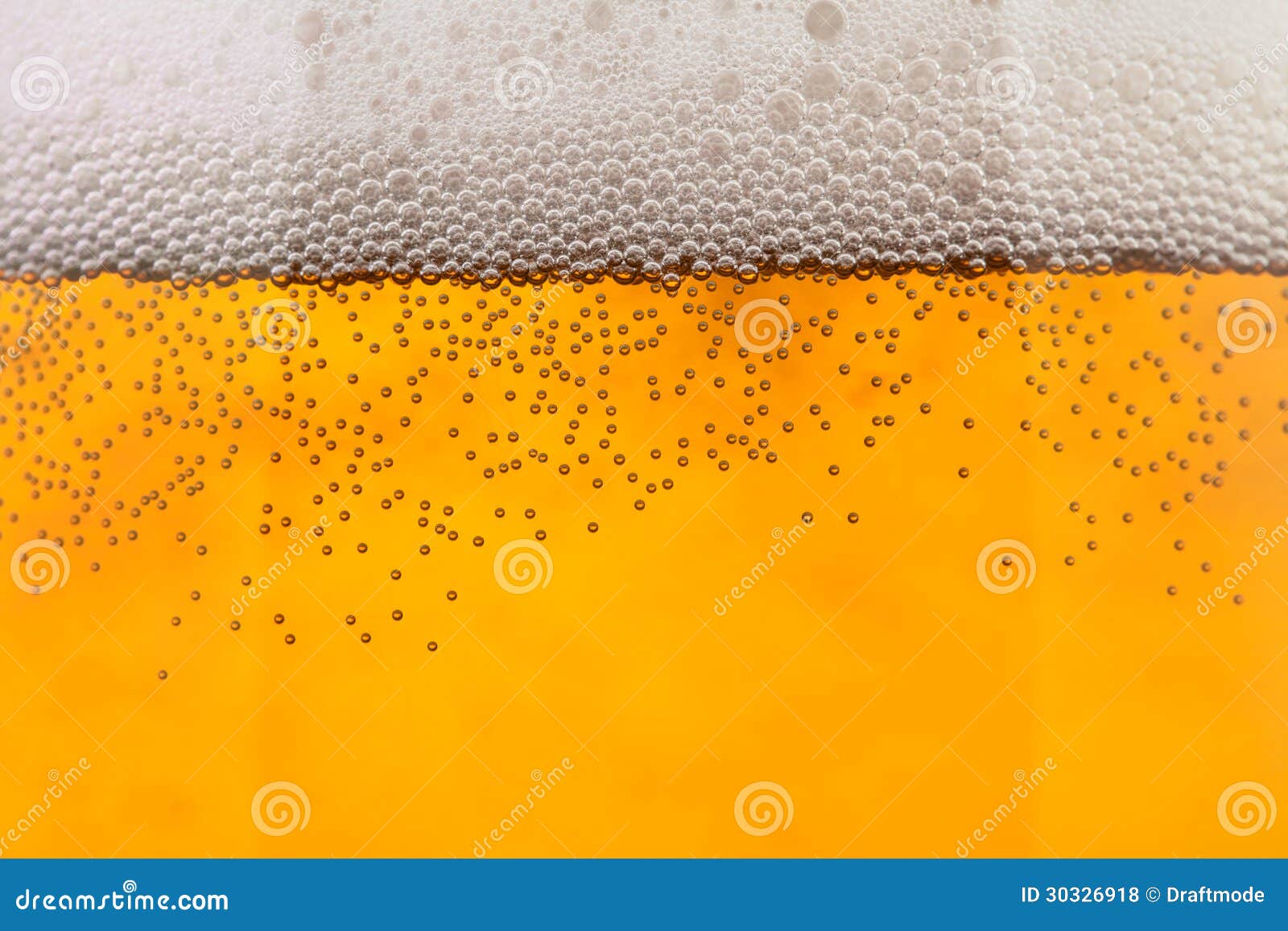 Beer bubbles closeup stock photo. Image of lager, bubbles 30326918
