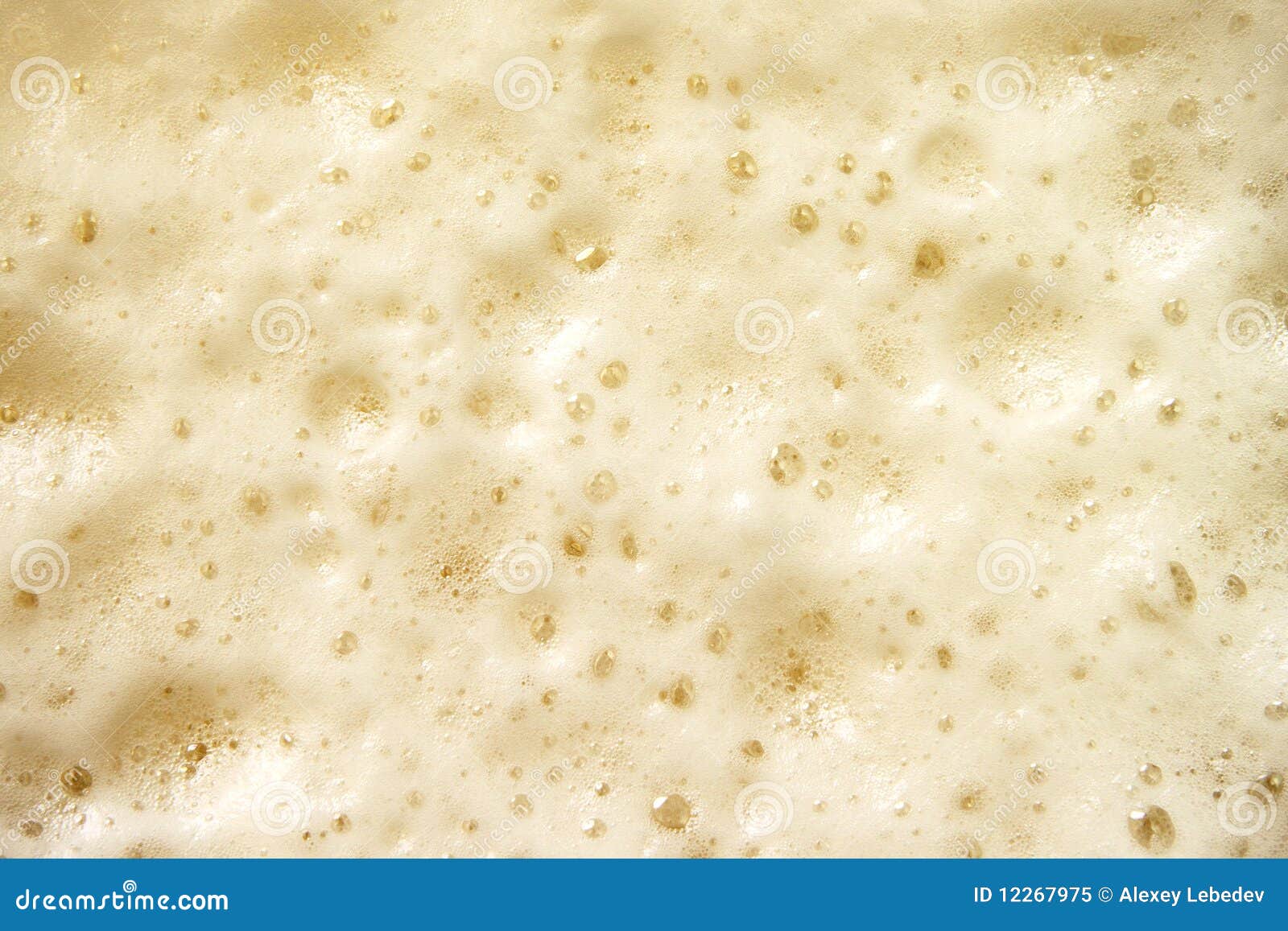 beer froth