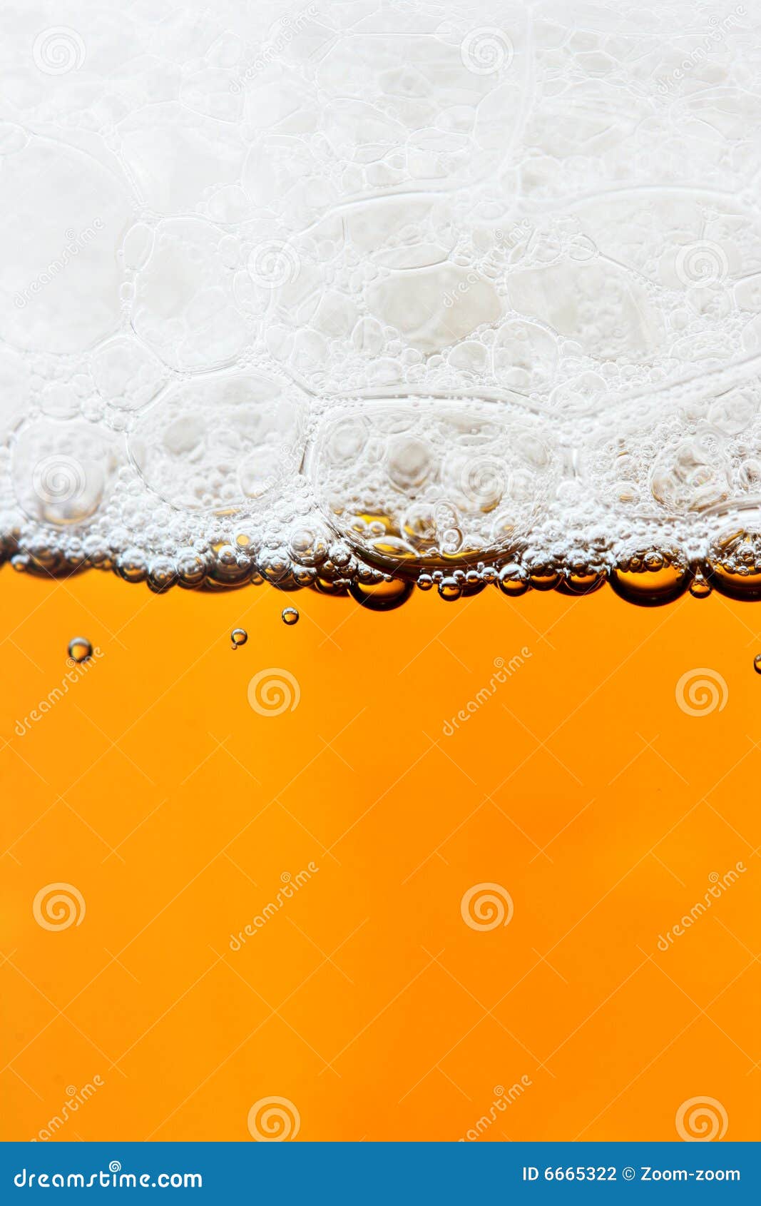 beer and froth