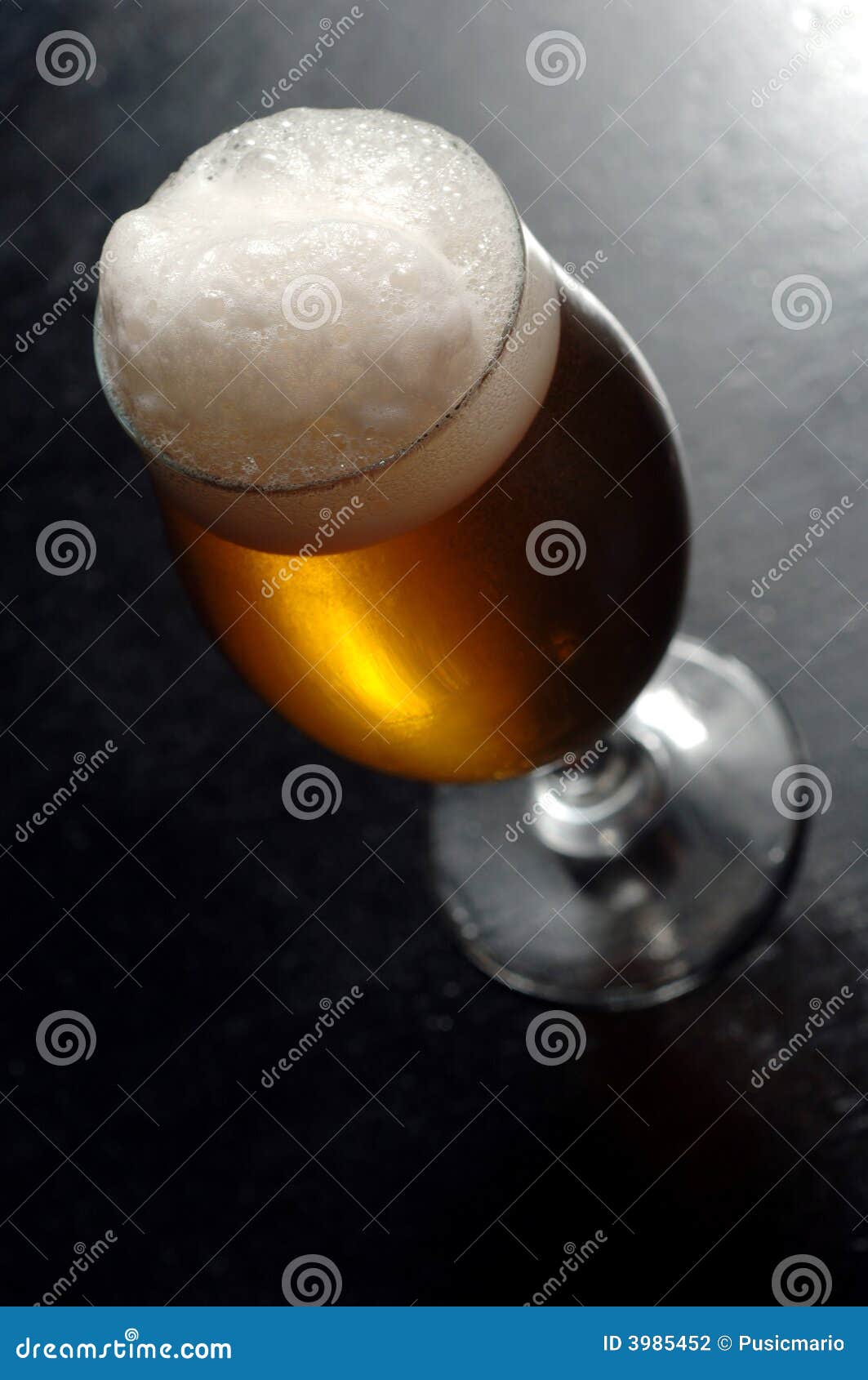 Beer with Froth in Stem Glass Stock Photo Image of europe, alcohol