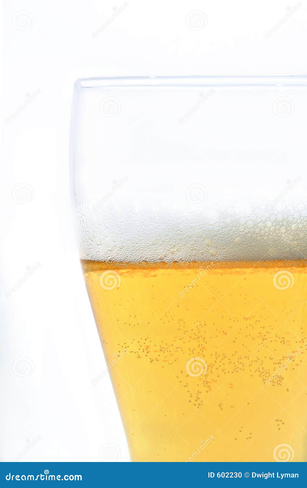 Beer in Glass with Foam Isolated on White Stock Photo Image of