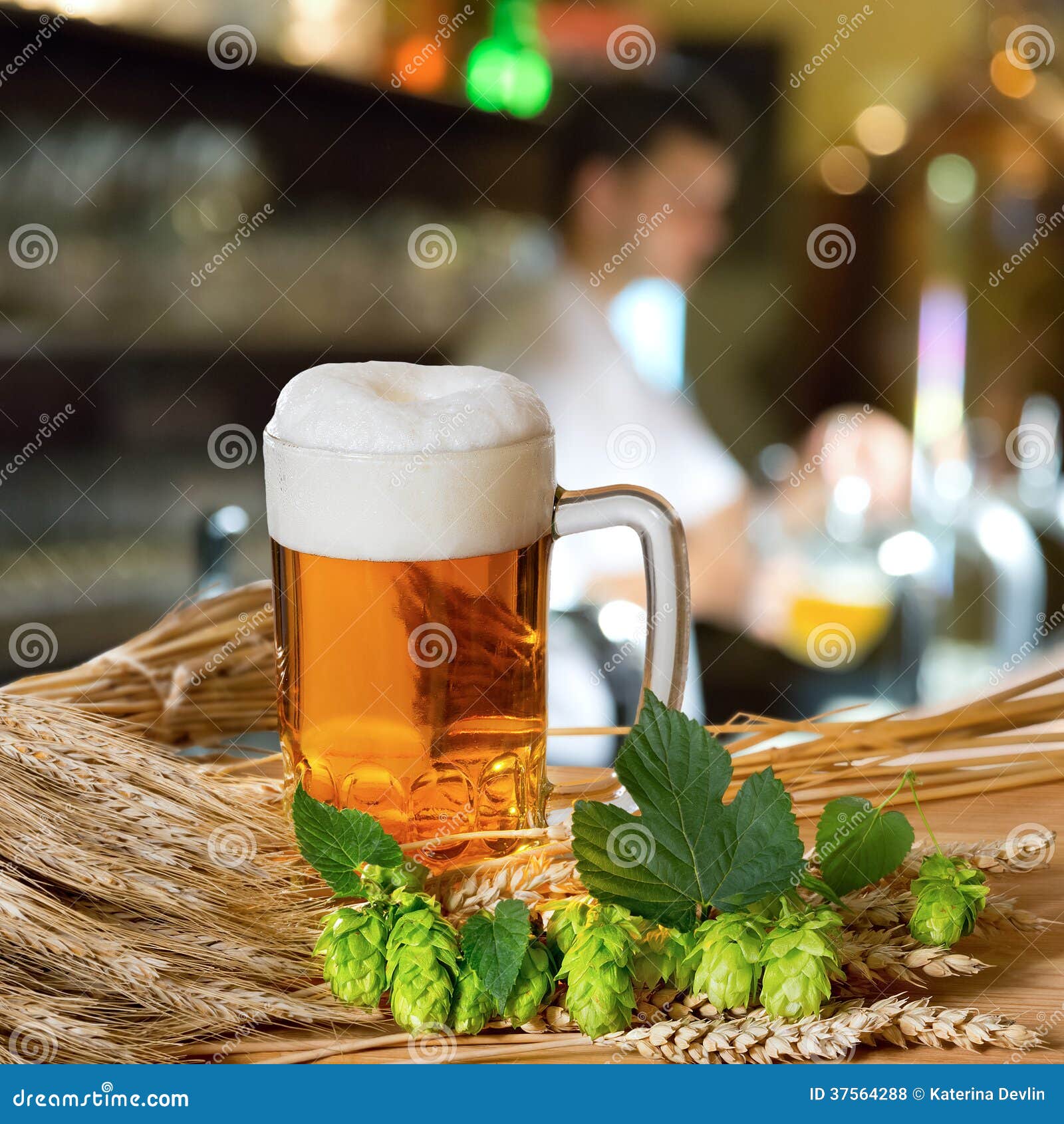 Beer Glass and Hops stock photo. Image of restaurant 37564288