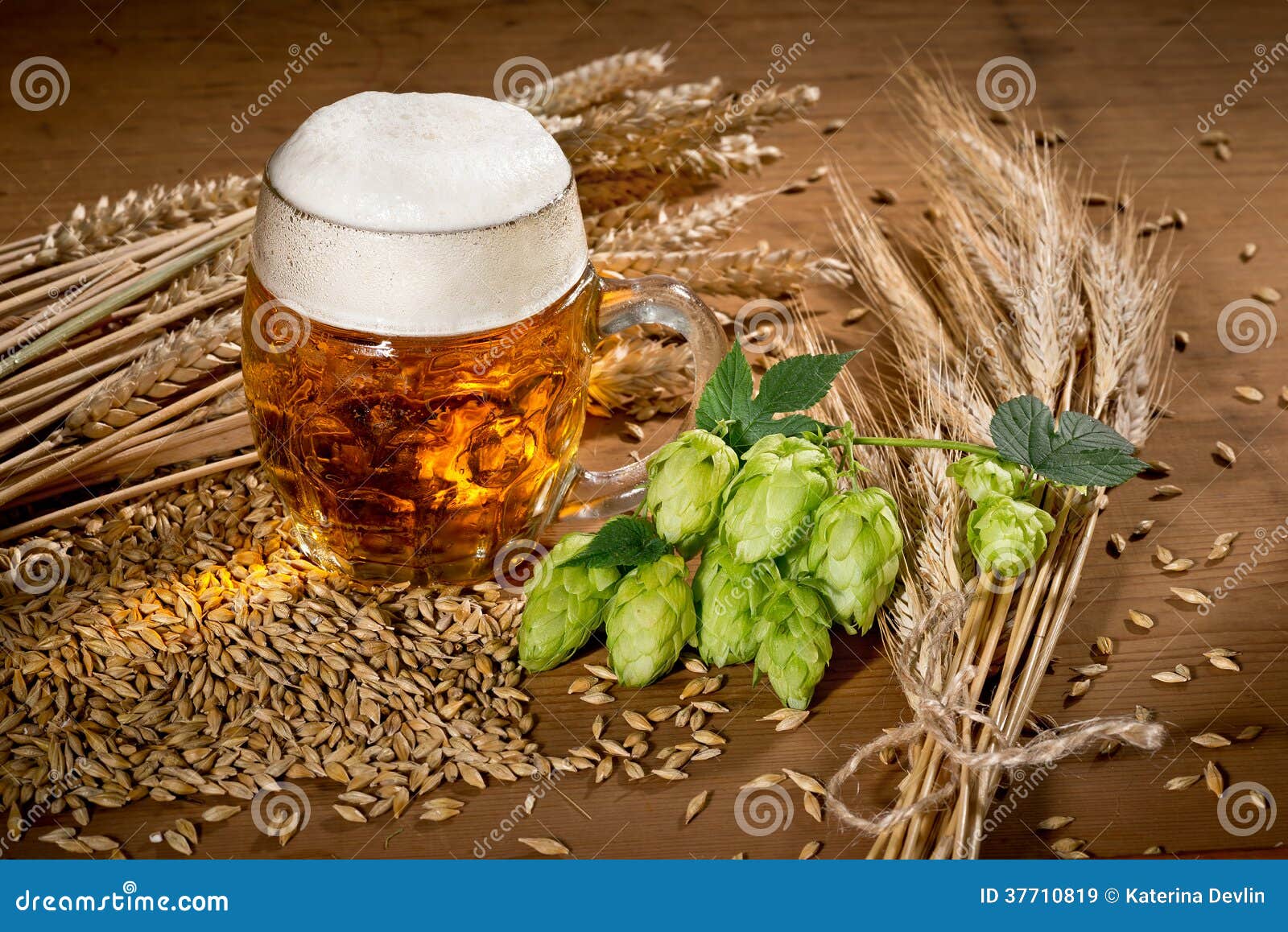Beer Glass and Hops stock image. Image of life, bitter 37710819