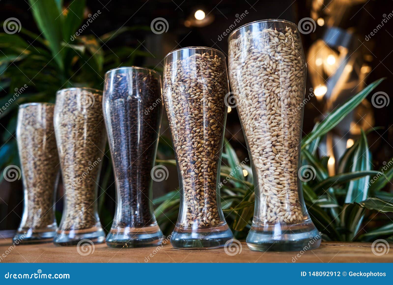 Beer Glasses Filled With Different Malts And Hops, Close ...