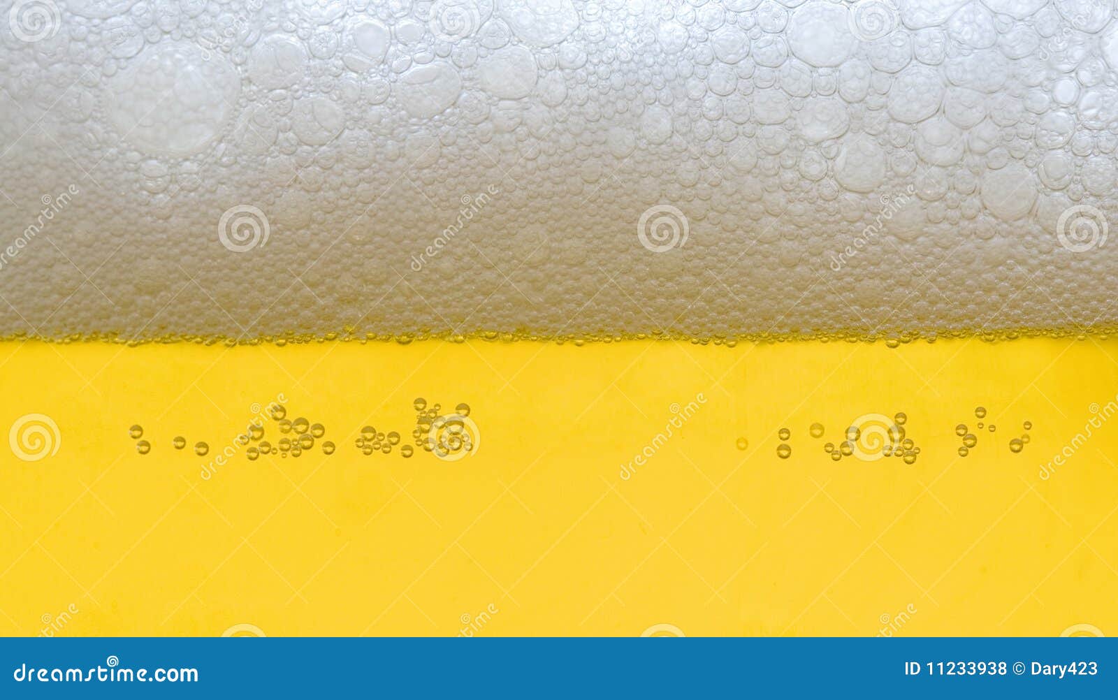 Beer head stock photo. Image of effervescent, bubbly 11233938