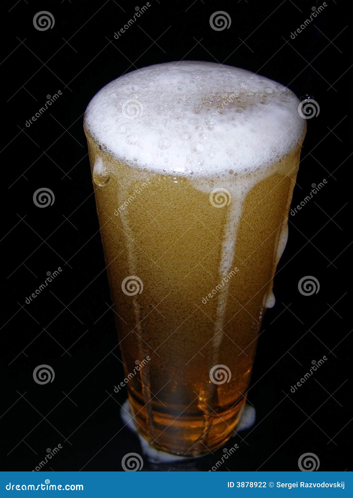Beer with head stock photo. Image of cool, golden, cold 3878922