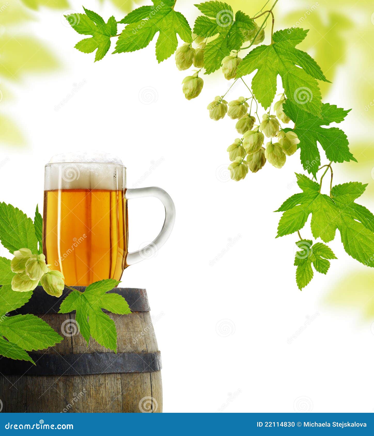 Beer and Hop Plant in Retro Style Stock Photo Image of beverages