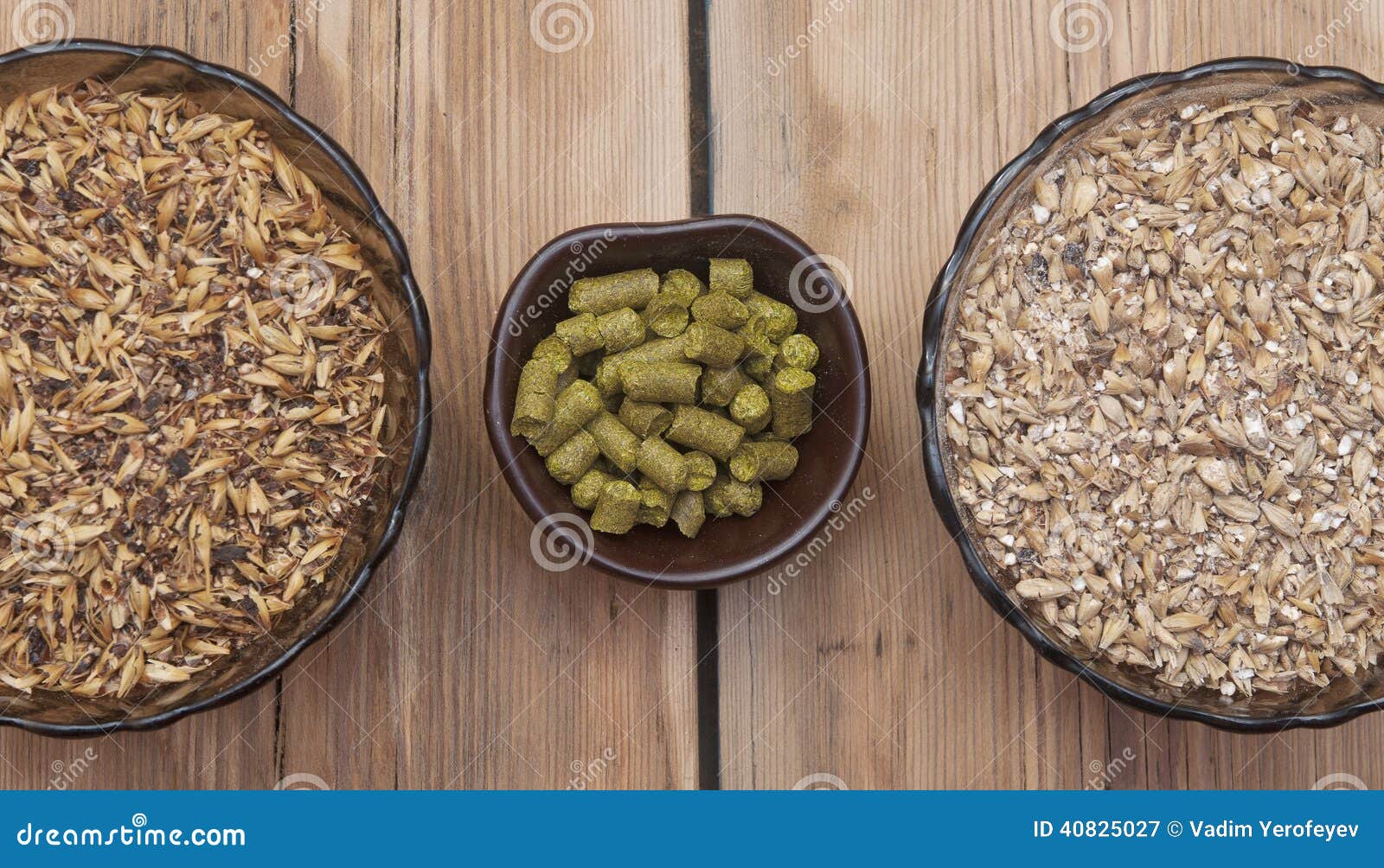 Beer Ingredients, Hops and Malt Stock Image Image of beer, agronomy
