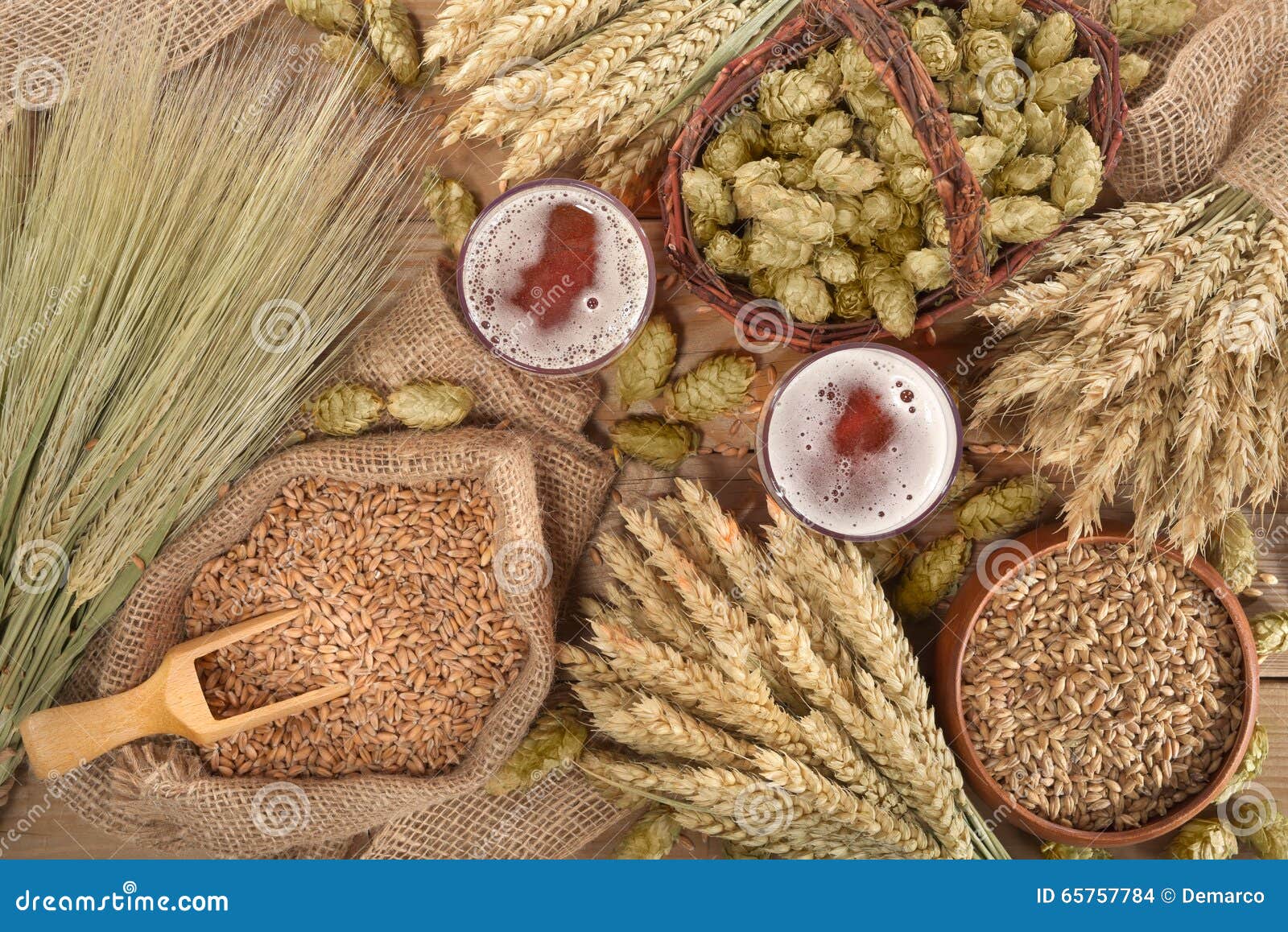 Beer ingredients stock photo. Image of beer, corn, oktoberfest 65757784