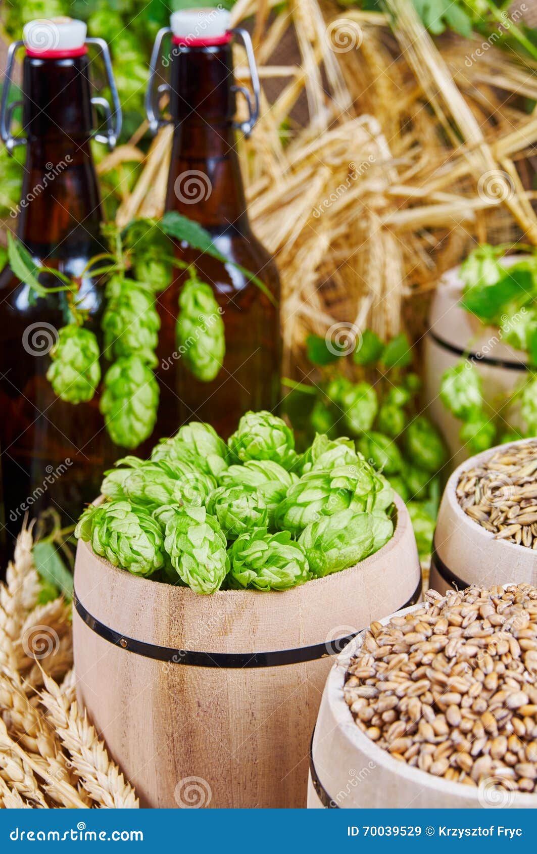 Beer ingredients stock image. Image of green, close, gourmet 70039529