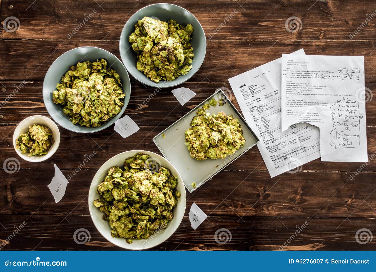 beer recipe and whole dried hops ready to be pitched in the kettle of a homebrewer.