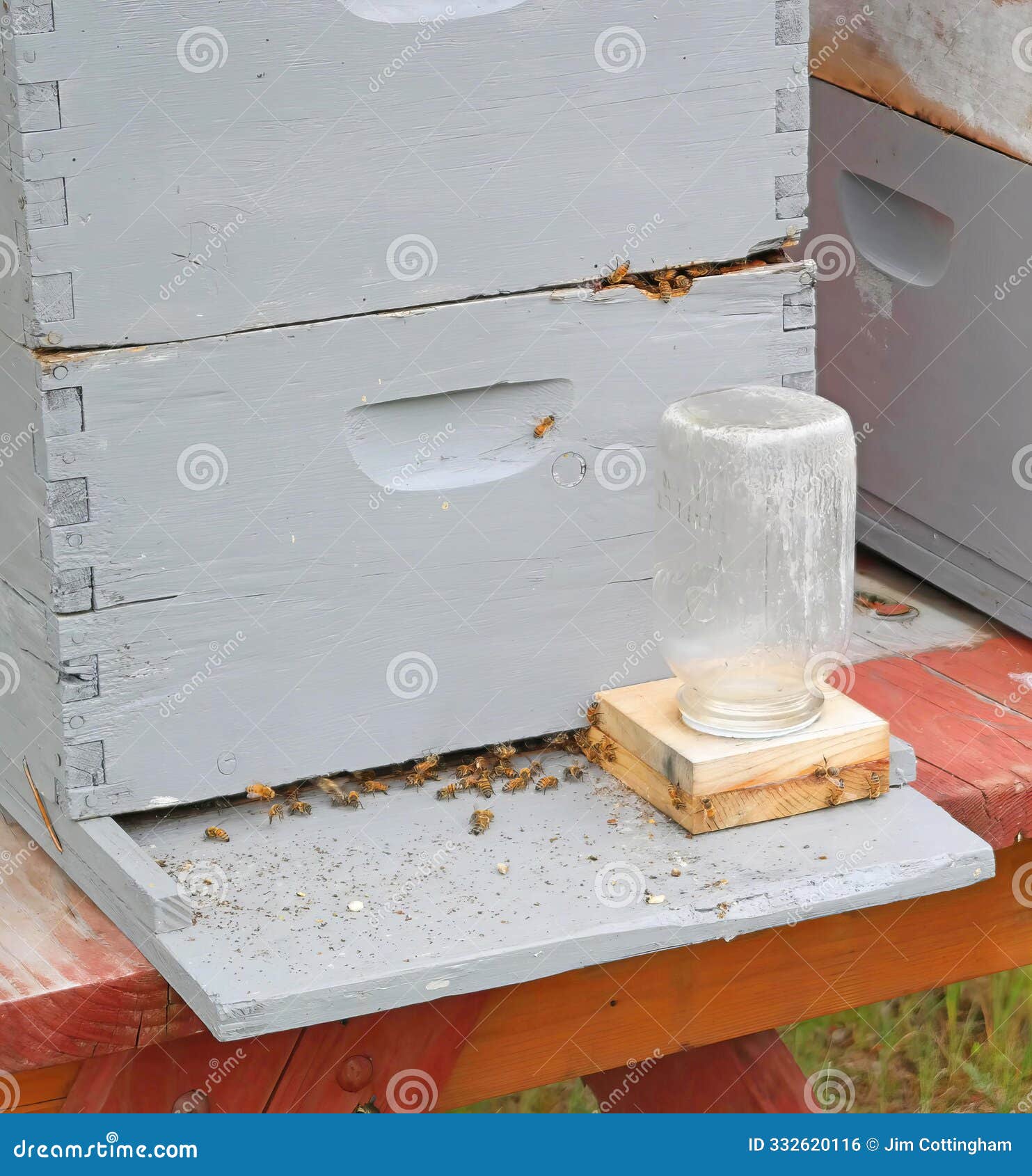 bees crawling in and out of some supers