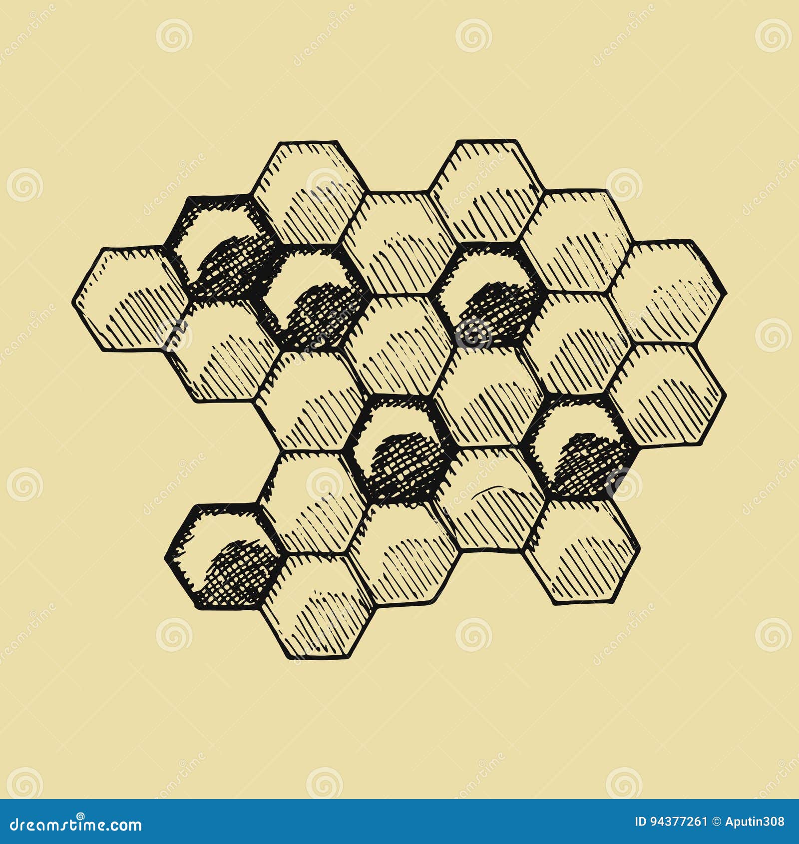 honeycomb drawing