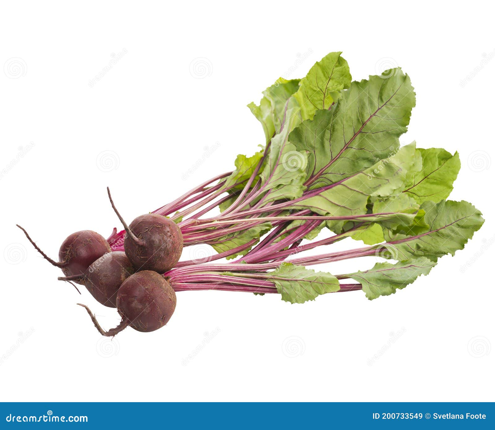 Beet, Beetroot Bunch on White Background Stock Image Image of drink