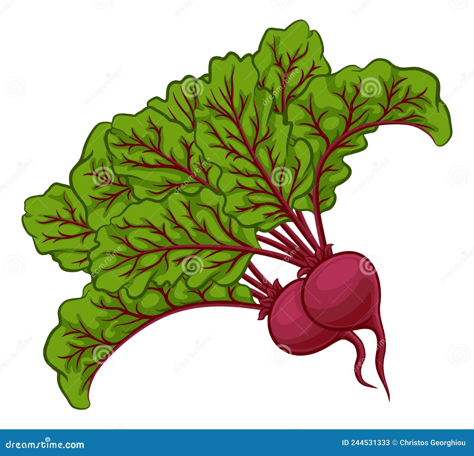Beet or Beetroot Vegetable Cartoon Illustration Stock Vector
