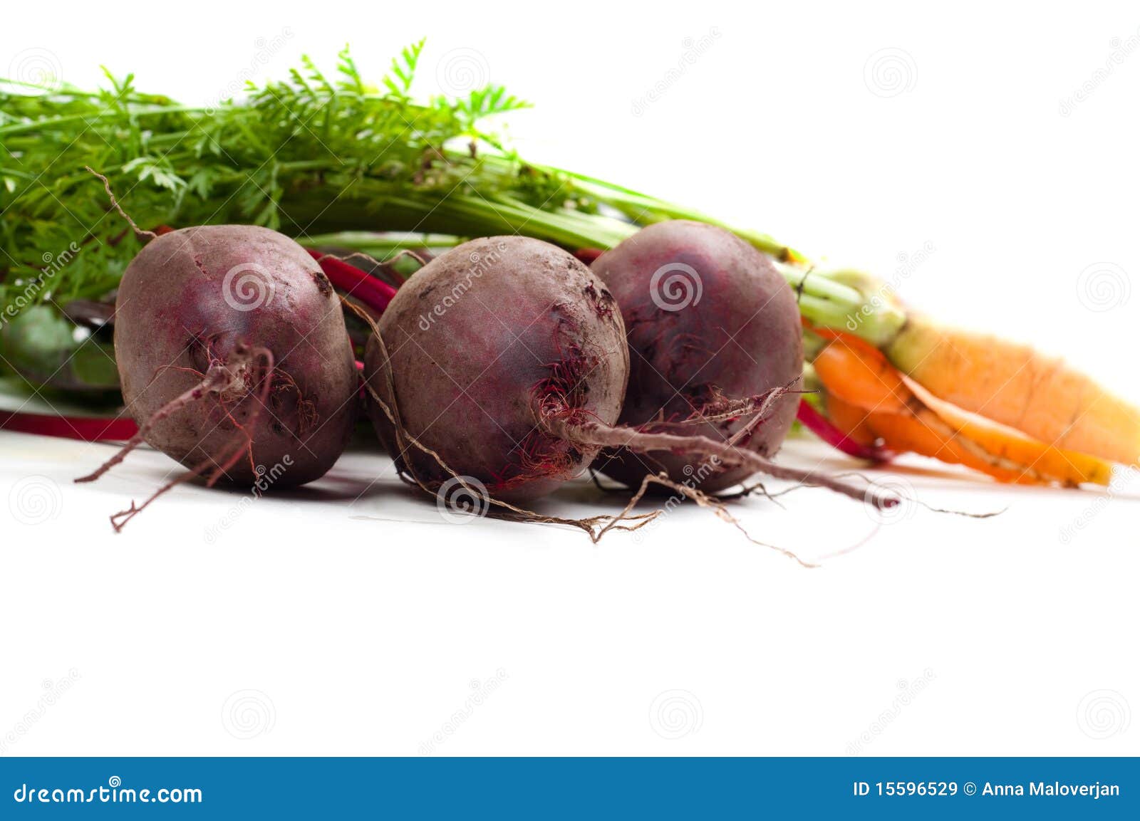 Beet and carrot stock image. Image of isolated, organic 15596529