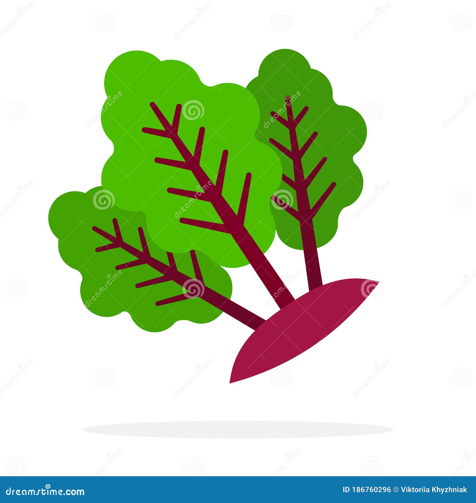 Beetroot Stems with Leaves Flat Isolated Stock Vector Illustration of