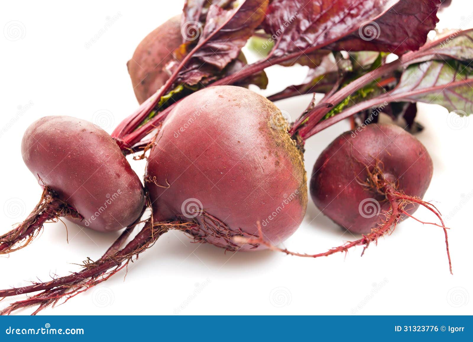 Beet with leaves stock photo. Image of fresh, color, root 31323776