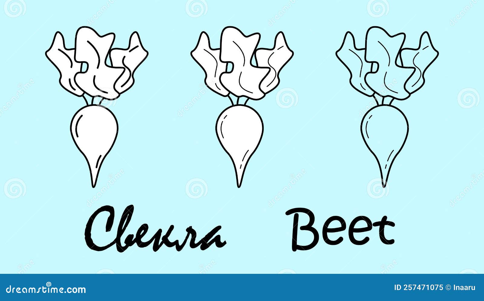 Beet. a Set of Three Objects with the Inscription "beet" in Russian and