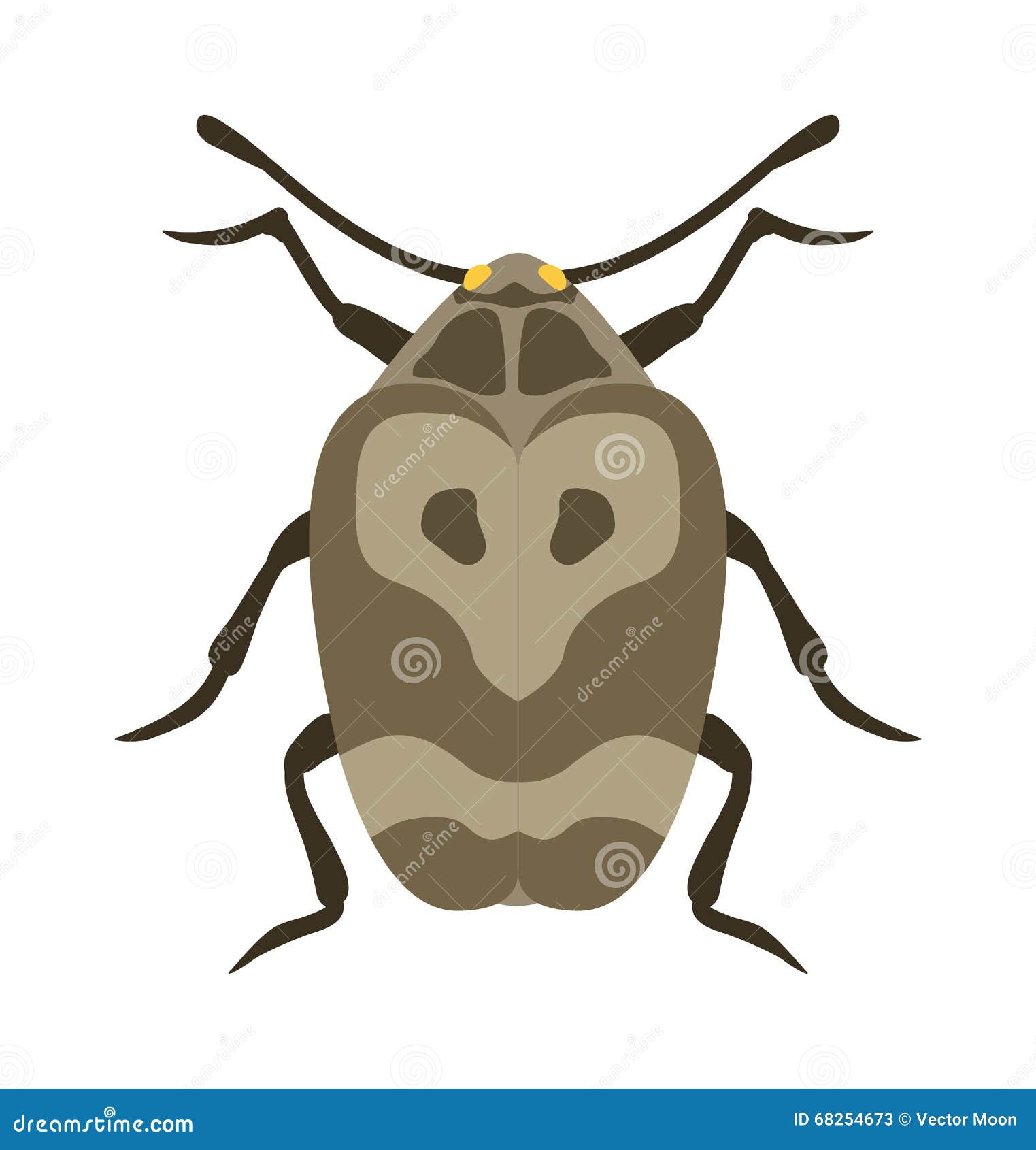Beetle Flat Insect Bug in Cartoon Style Vector Stock Vector ...