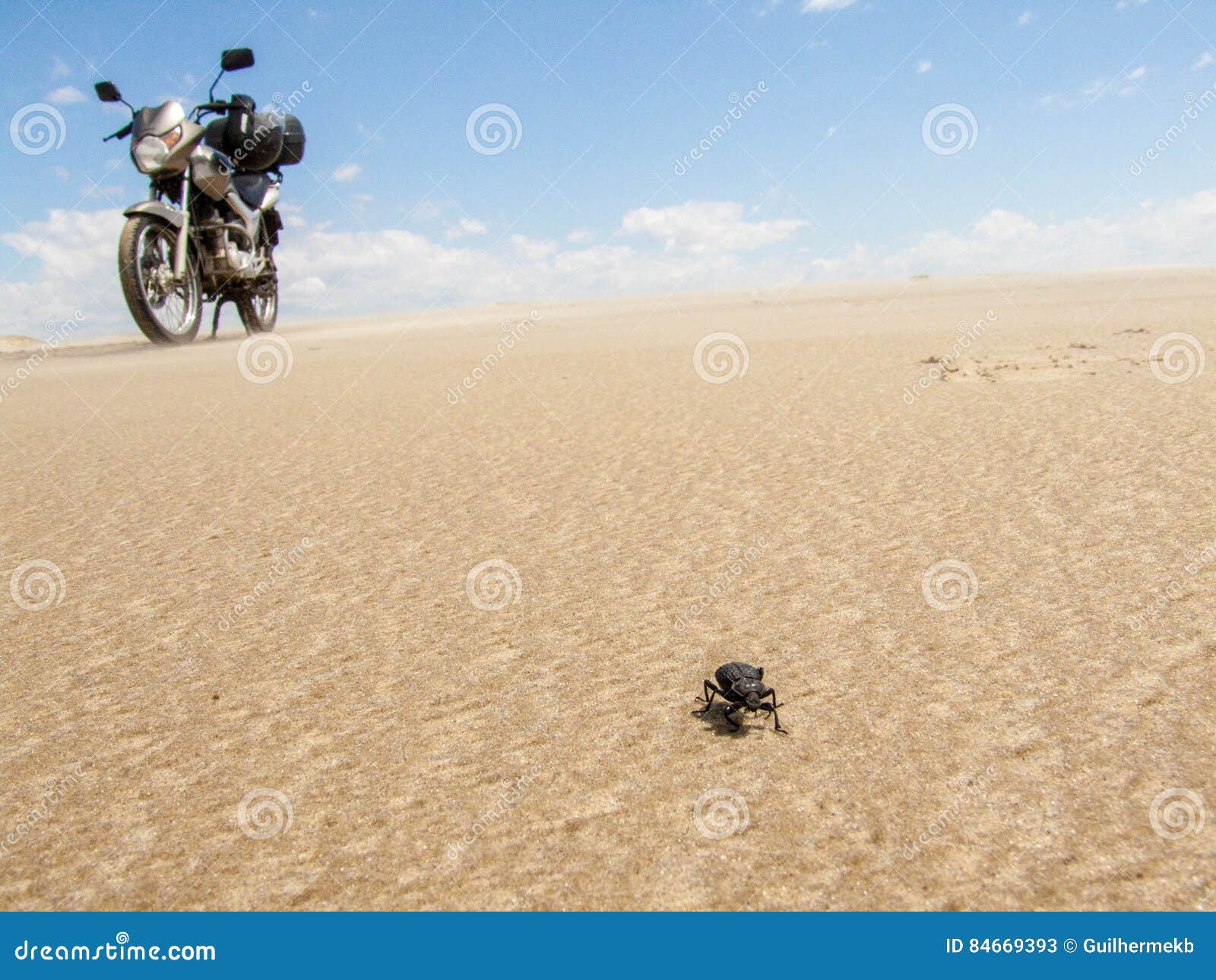 beetle and motorcycle