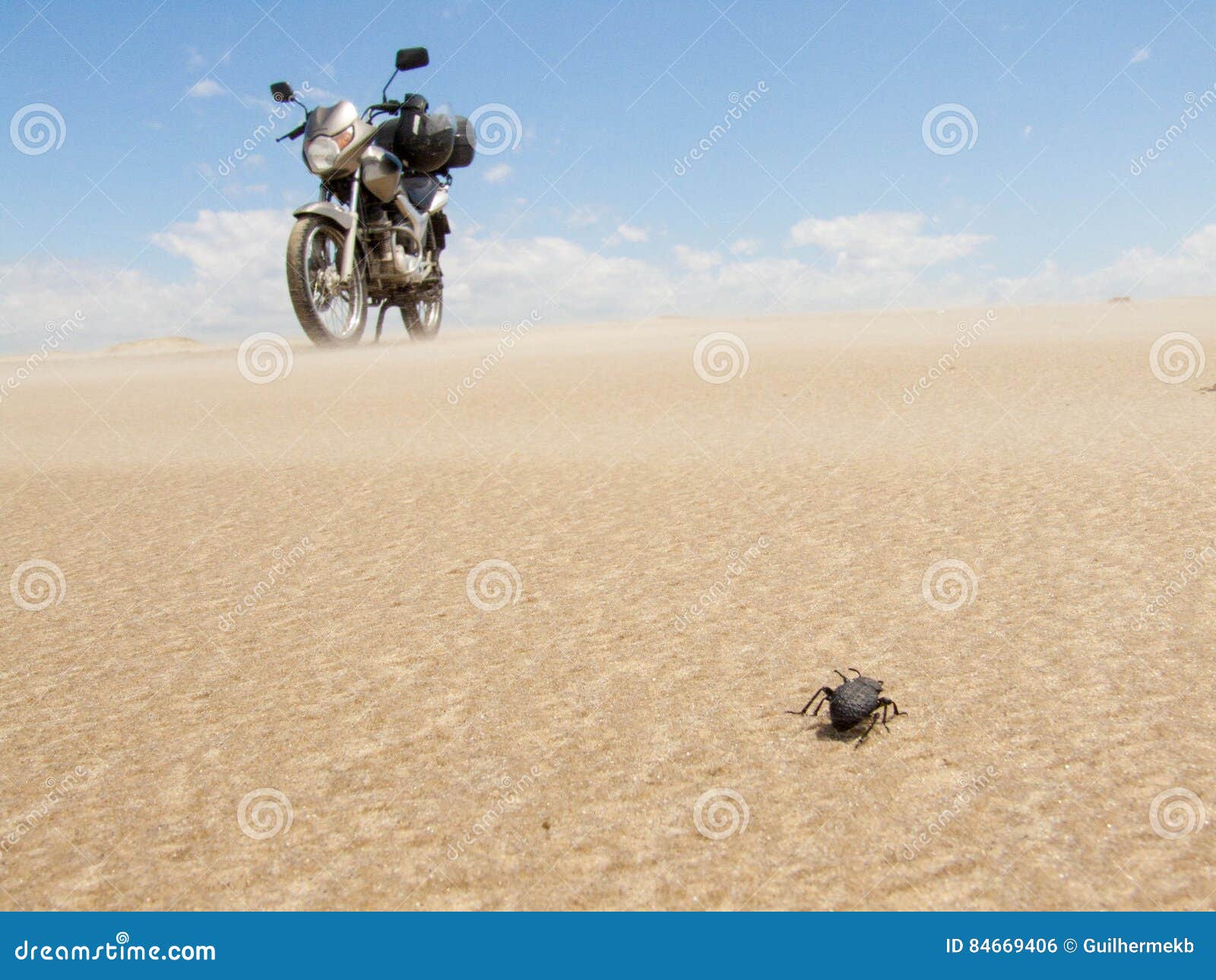 beetle and motorcycle
