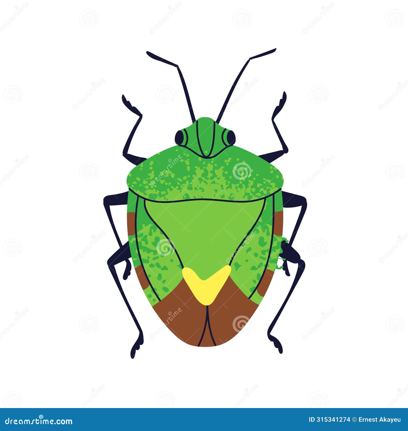 beetle, shield stink bug, top view. forest fauna species. wild small pest animal. abstract fictional insect. flat