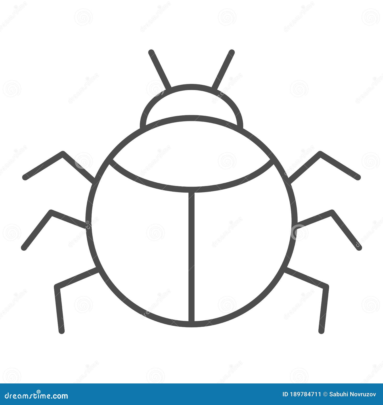 beetle thin line icon, insects concept, bug sign on white background, round d beetle silhouette icon in outline