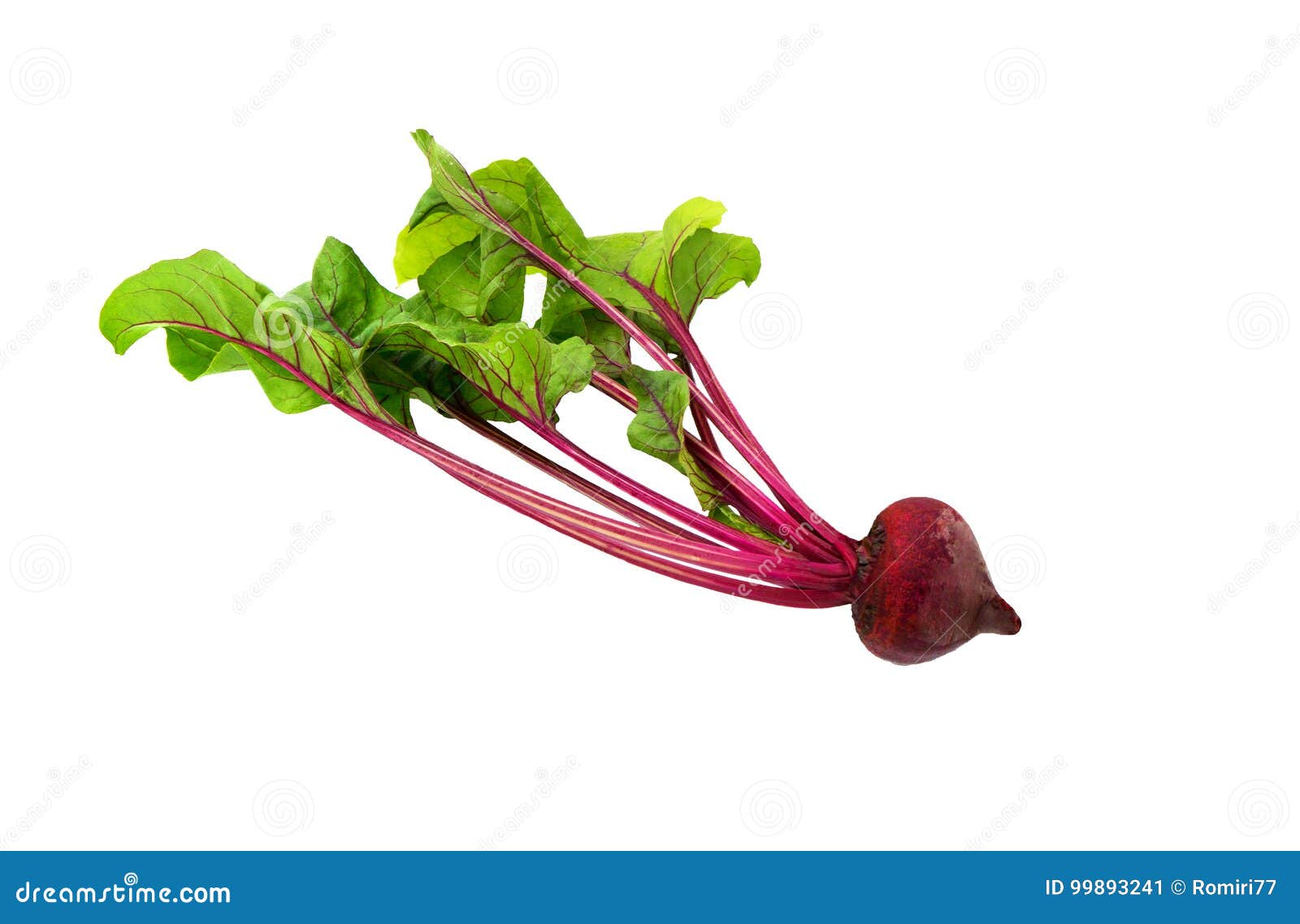 Beetroot with Leaves, Fresh Whole Beet. Stock Image Image of