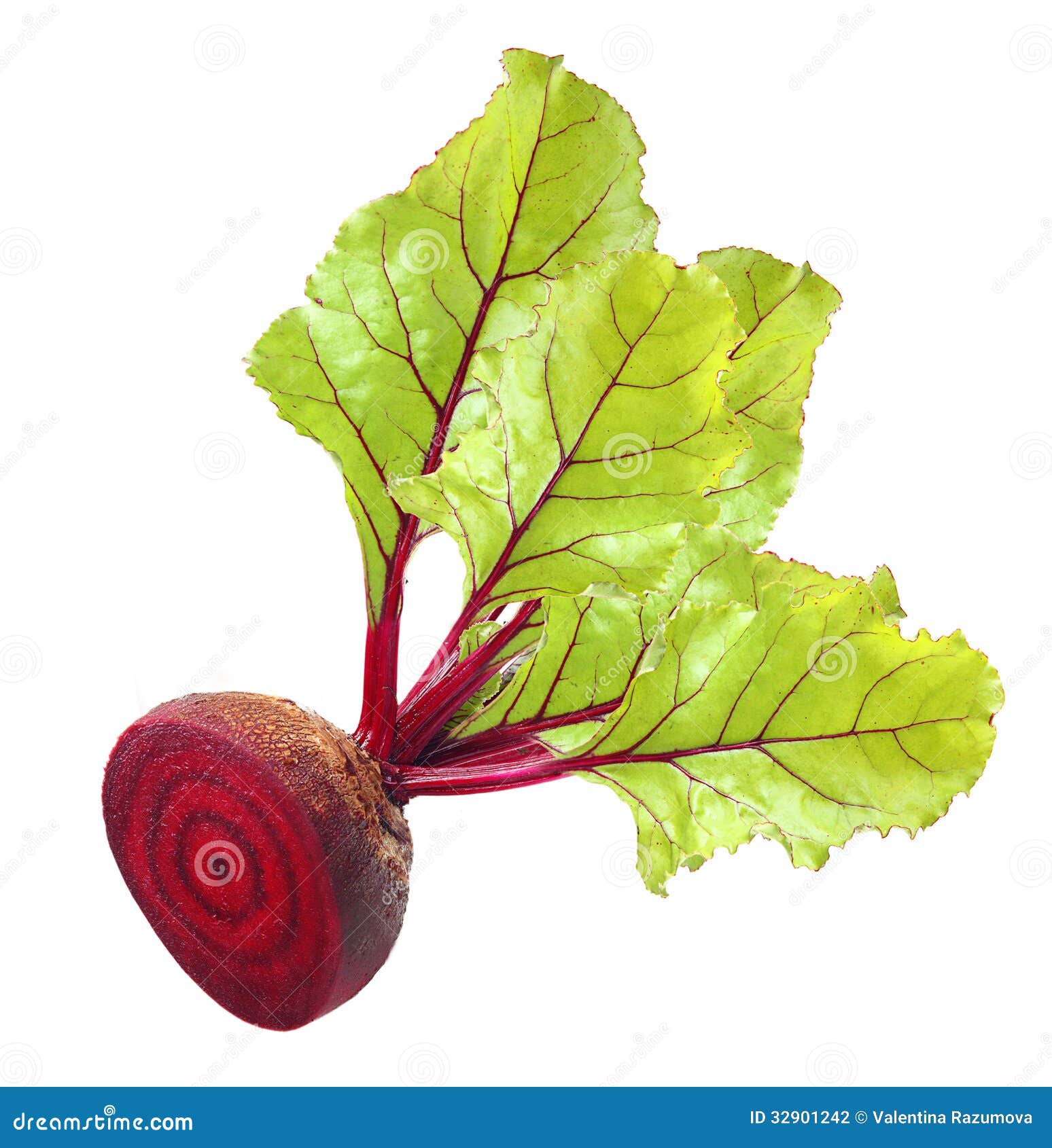 Beetroot with leaves stock photo. Image of brown, healthy 32901242