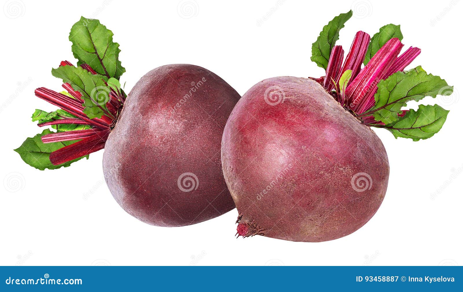 Beetroot with Leaves Isolated Stock Image Image of closeup, white