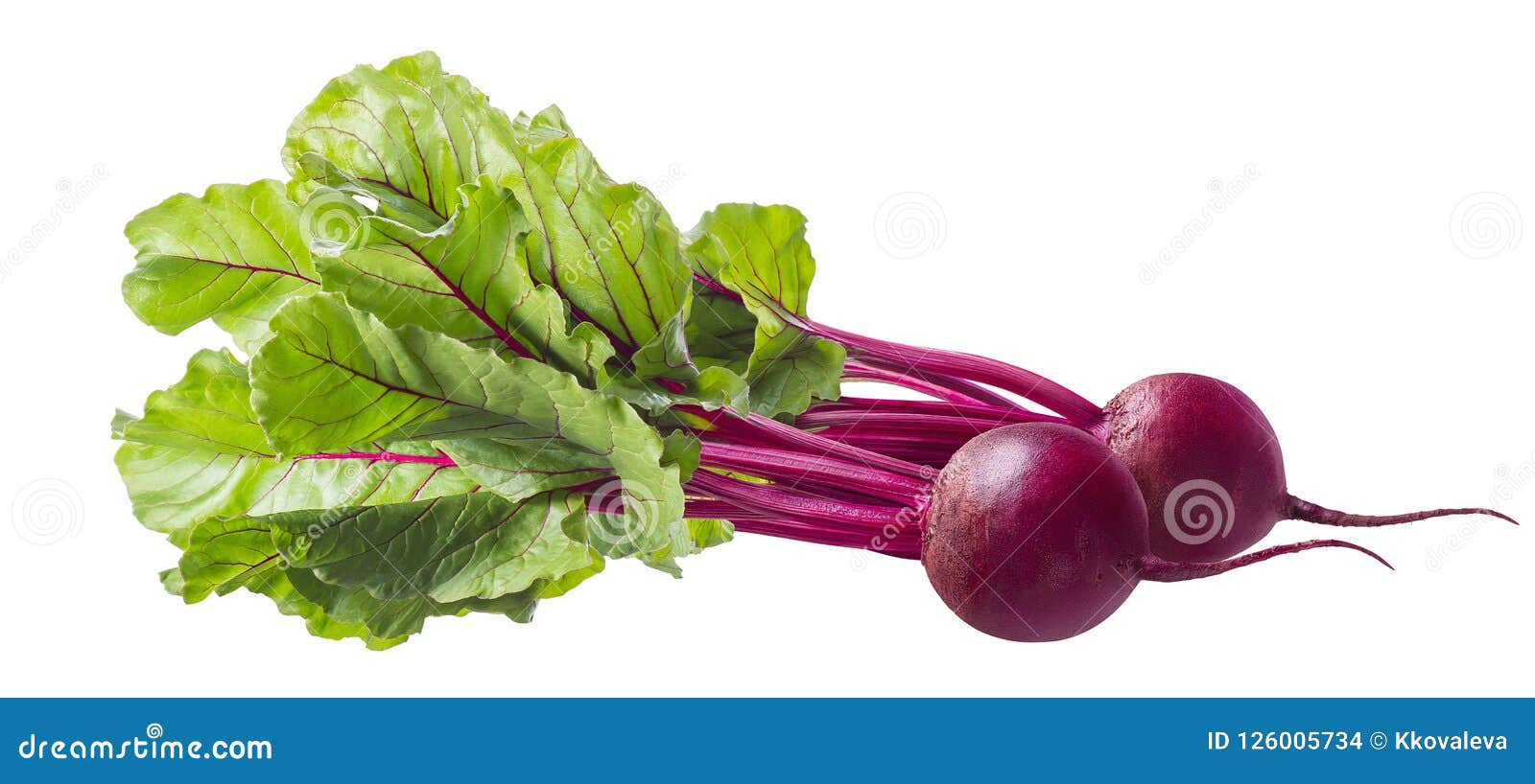 Beetroot with Leaves Isolated on White Background Stock Photo Image