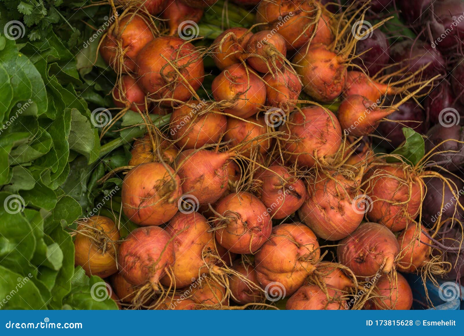 Beetroots Texture Background. Close Up of Fresh Beets Stock Photo