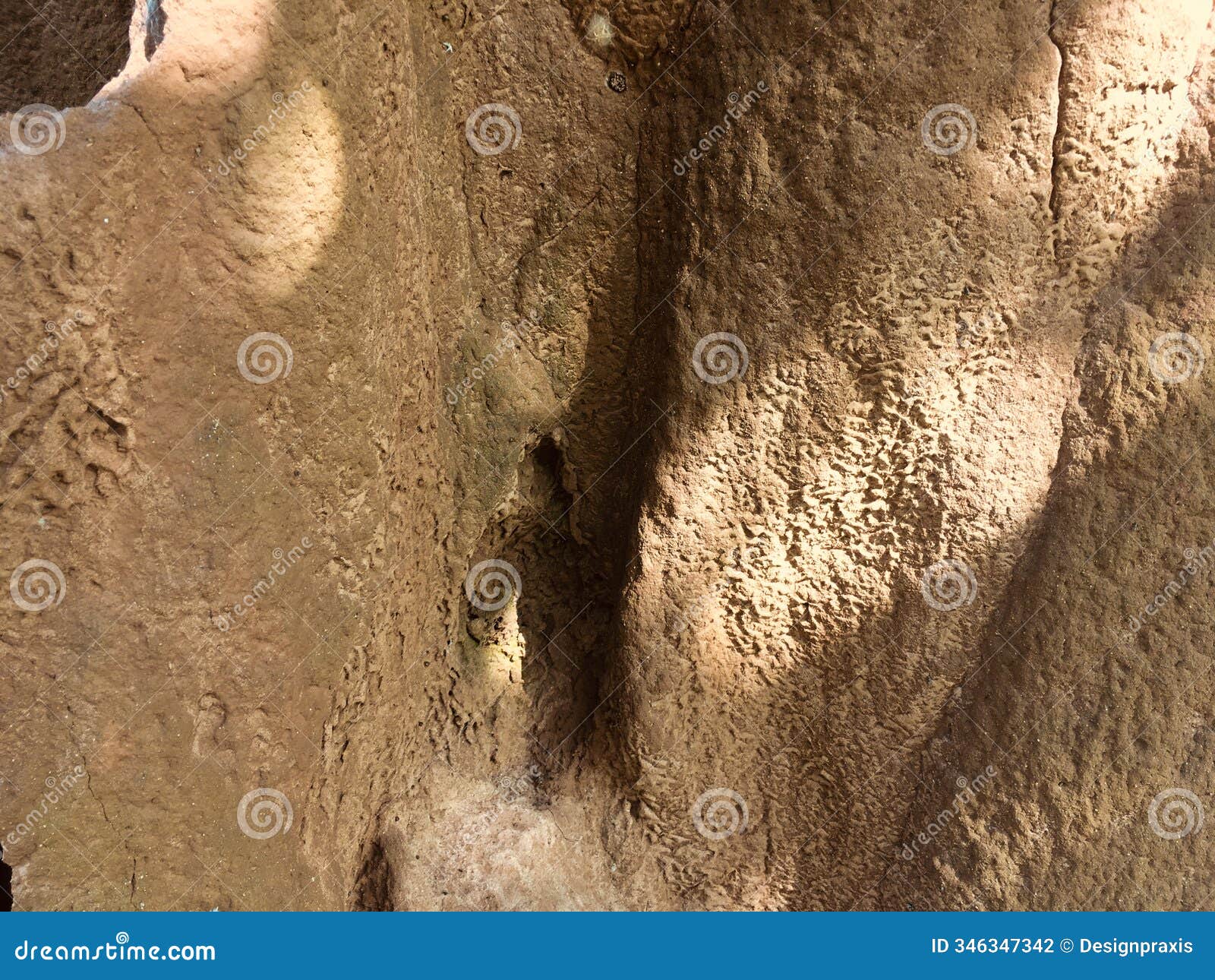 behemoth anthill closeup - stock image