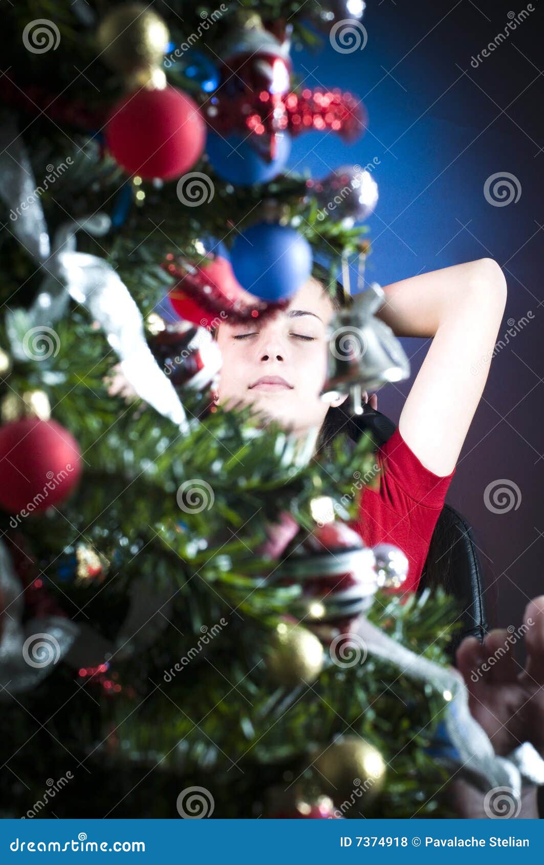Behind Christmas tree stock photo. Image of stress, xmas 7374918
