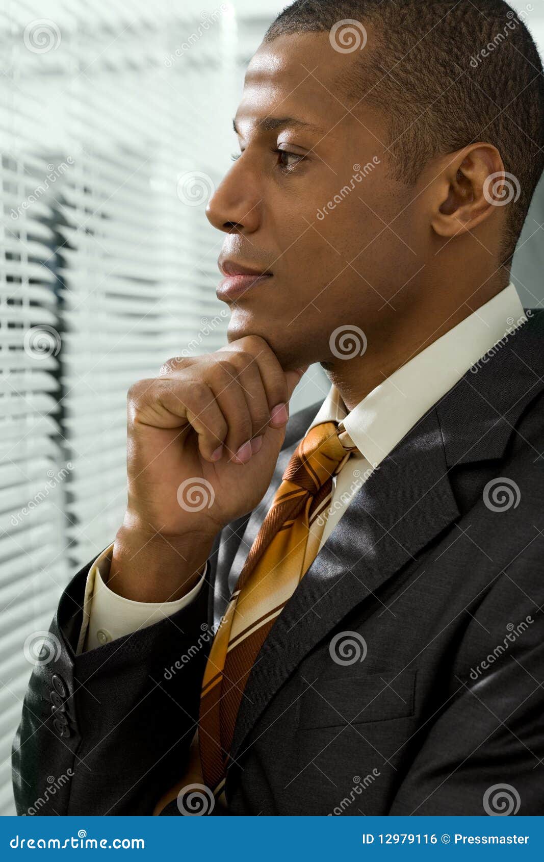 Behind venetian blind stock photo. Image of confident - 12979116